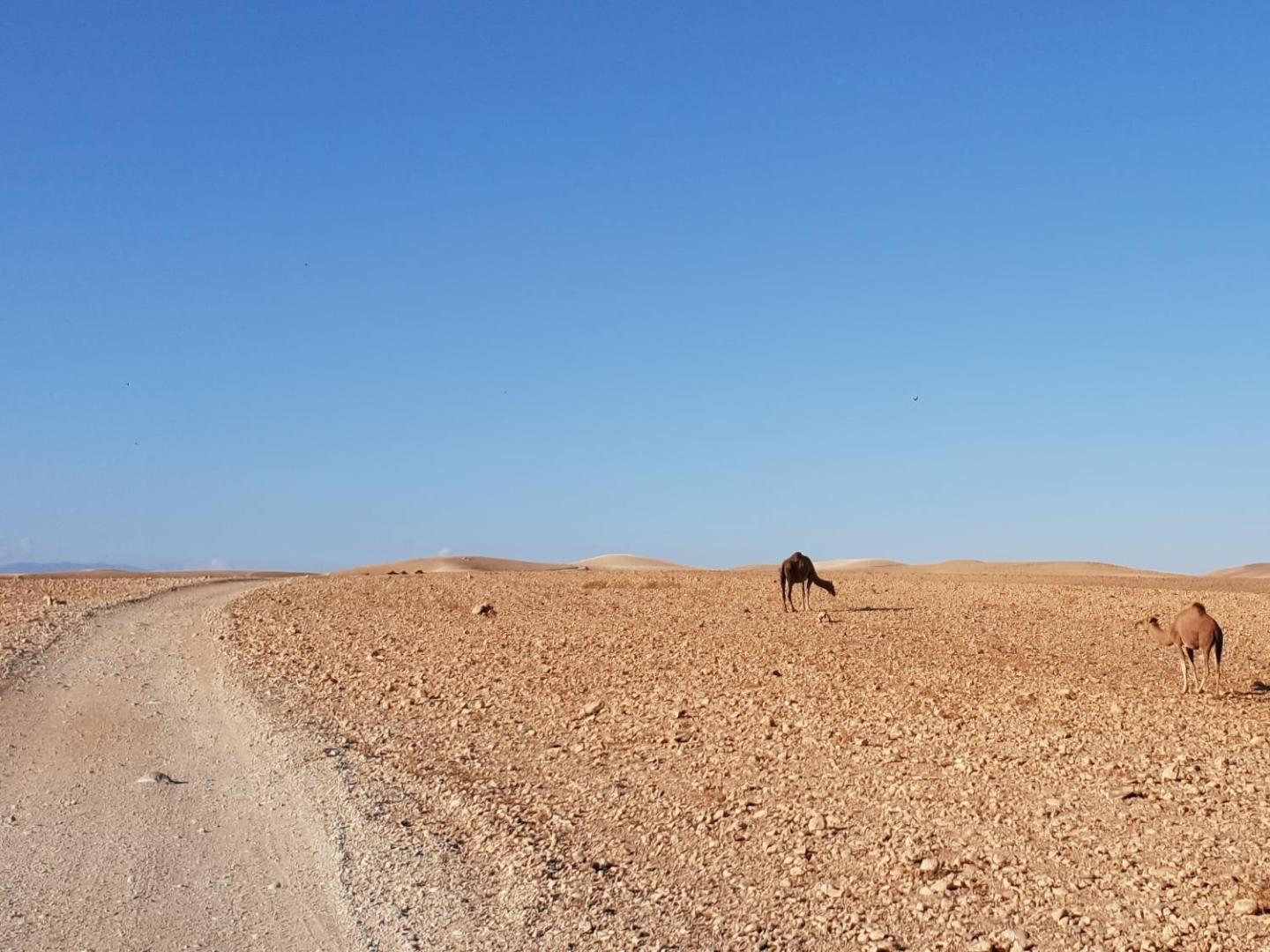 Nkhila Lodge Agafay Desert Private Camp