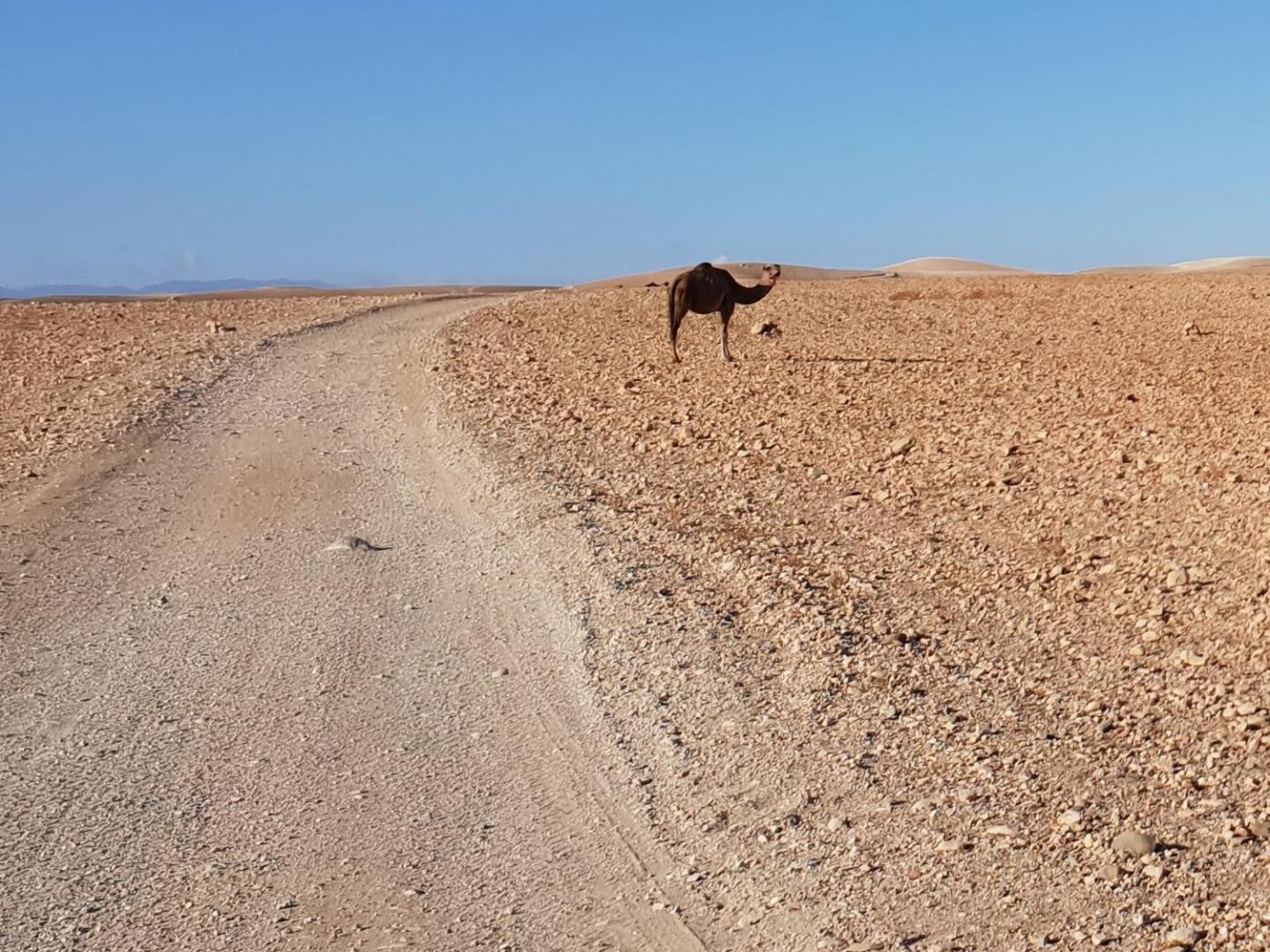 Nkhila Lodge Agafay Desert Private Camp