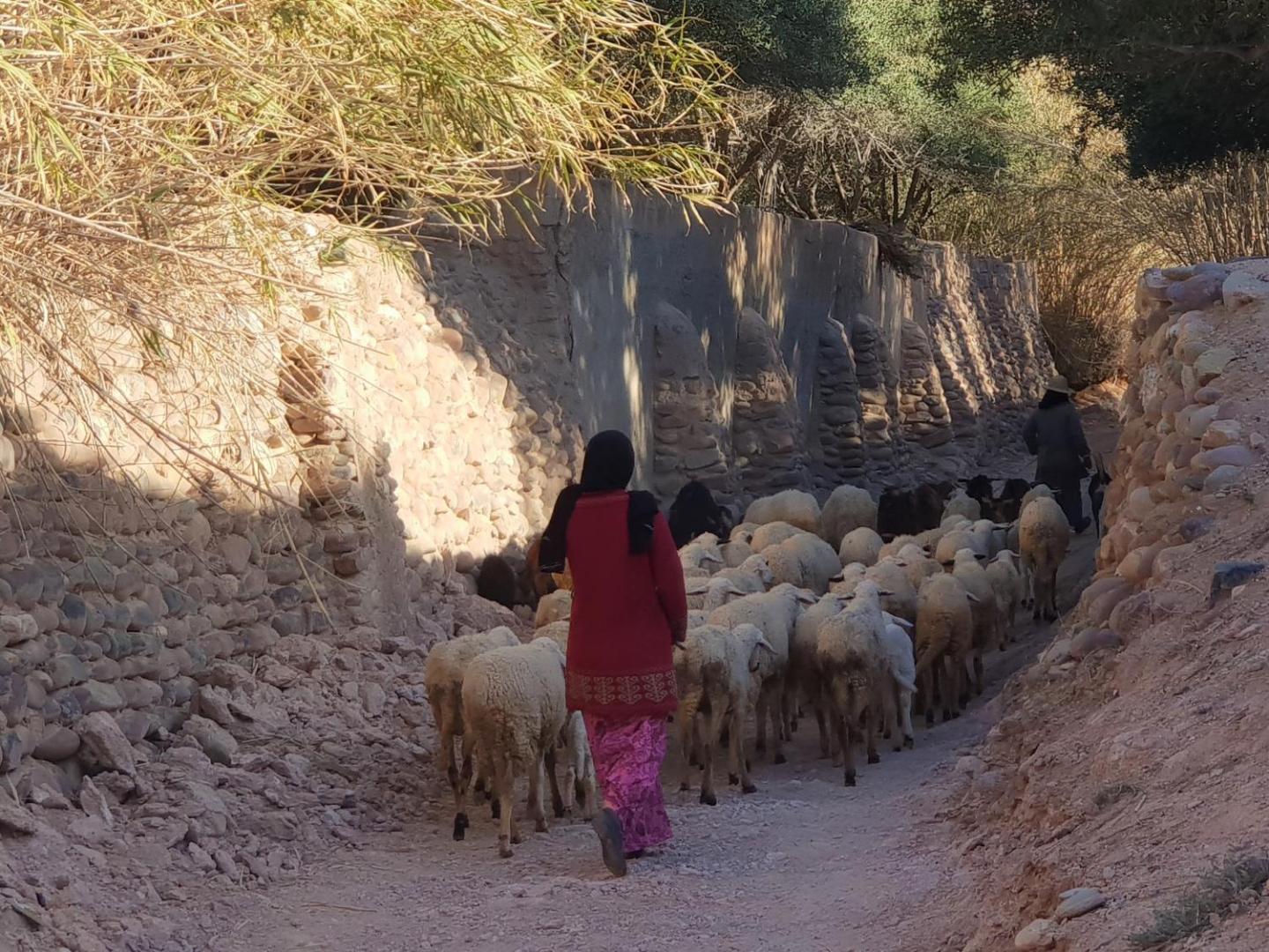 Nkhila Lodge Agafay Desert Private Camp