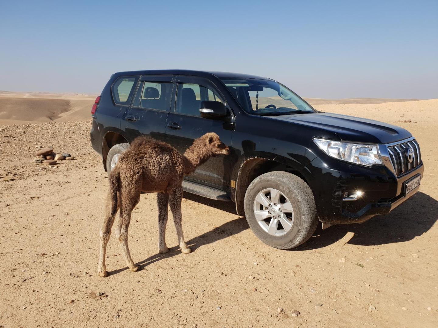 Nkhila Lodge Agafay Desert Private Camp