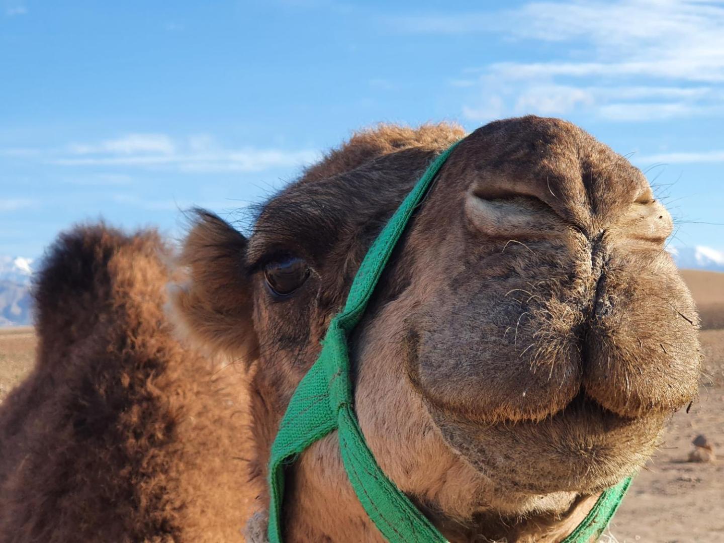Nkhila Lodge Agafay Desert Private Camp