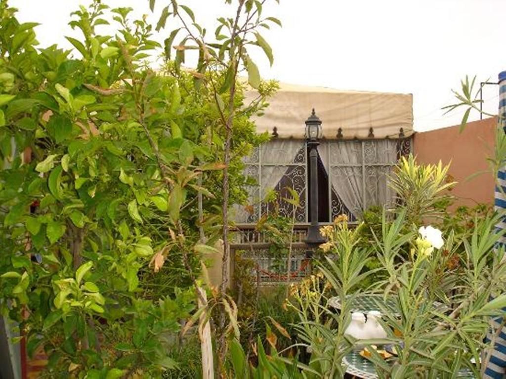 Belleville Marrakech