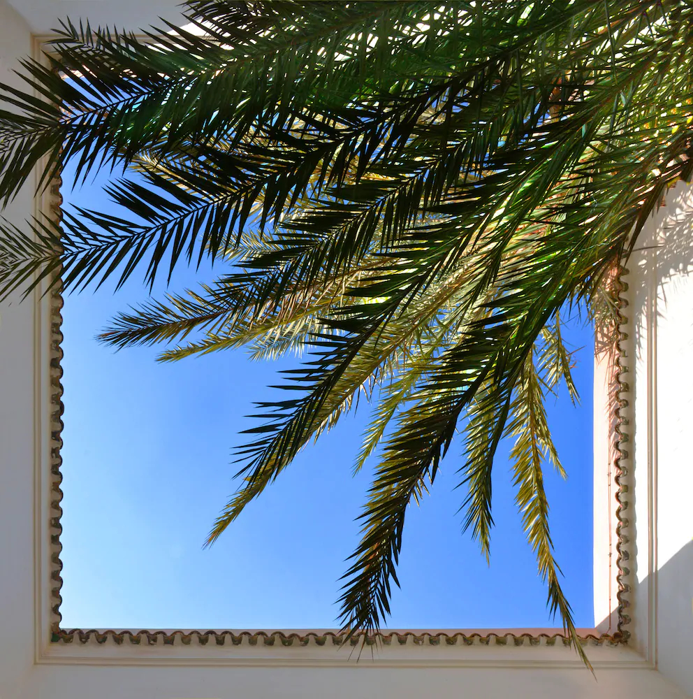 Dar Housnia