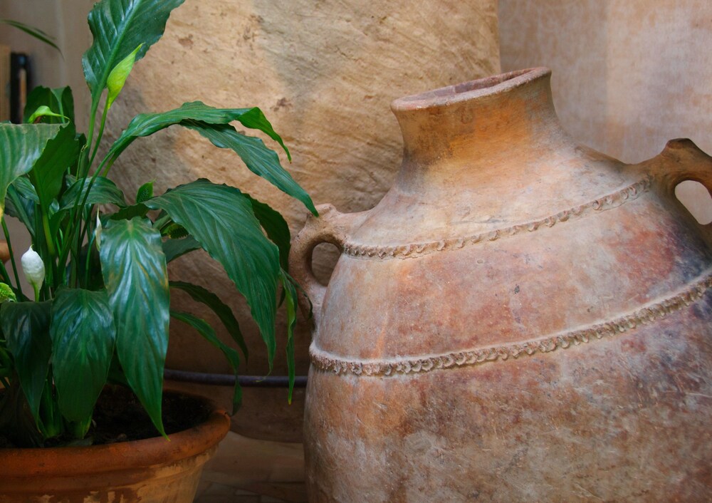 Dar Housnia