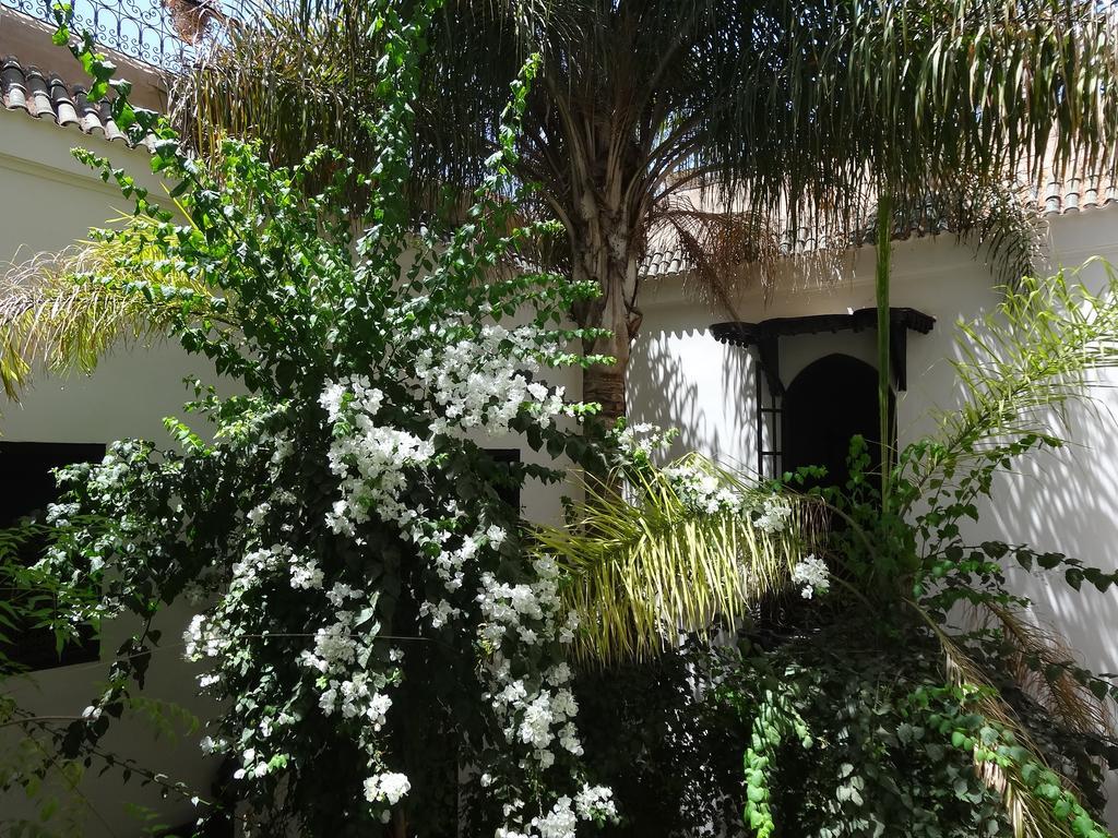 Dar Jaguar