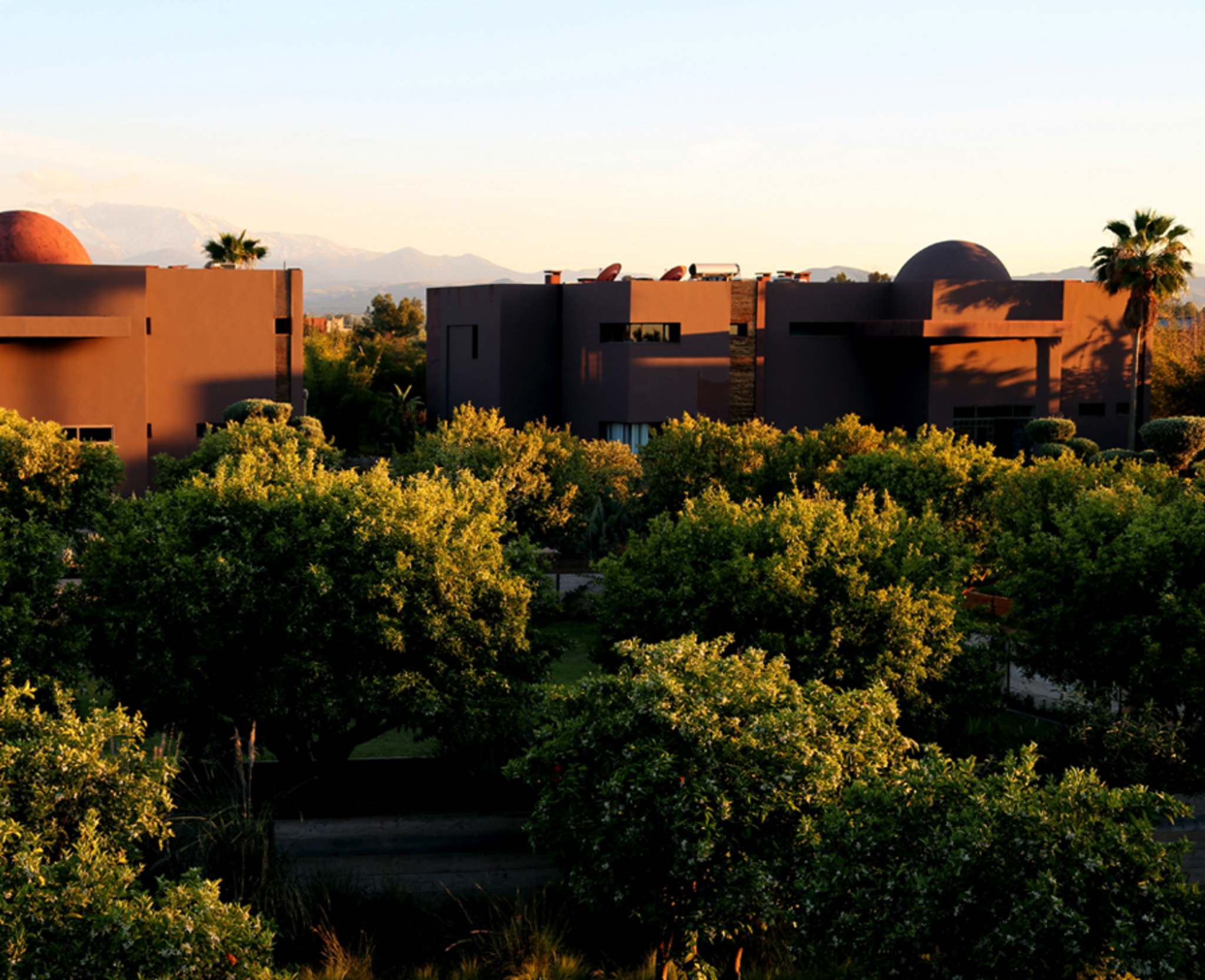 Fellah Hotel