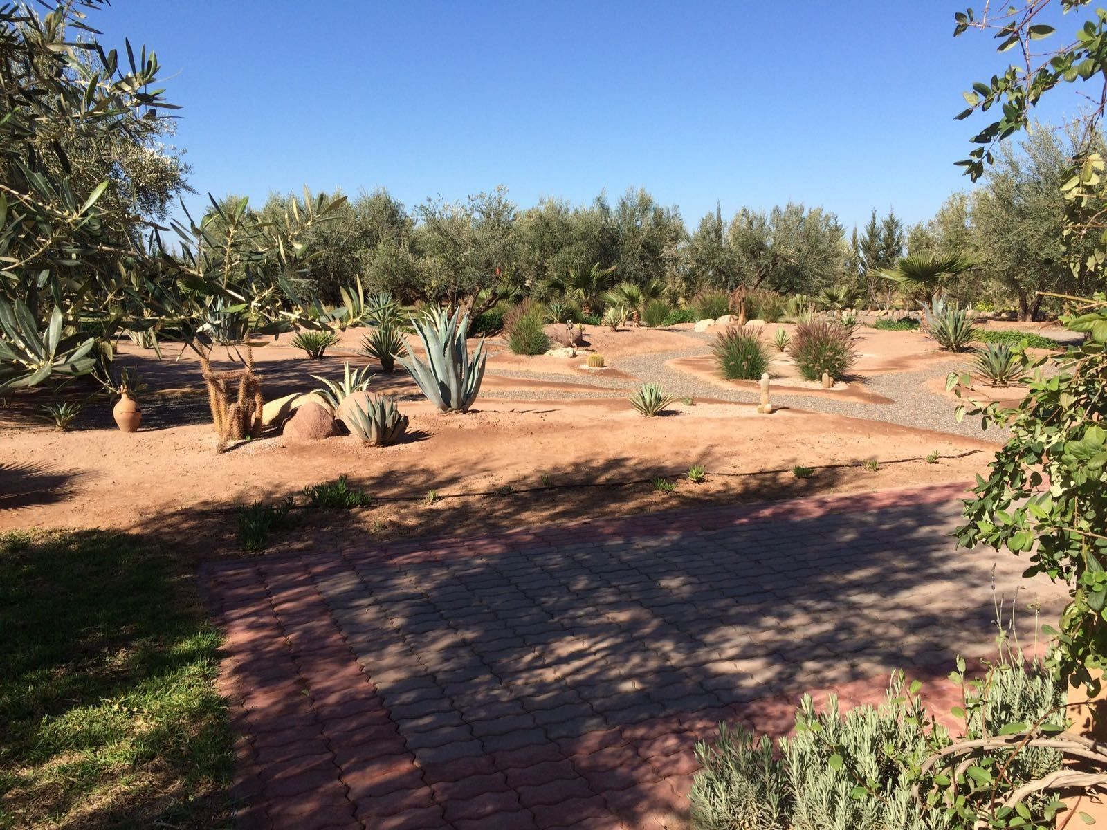 Ferme Sidi Safou