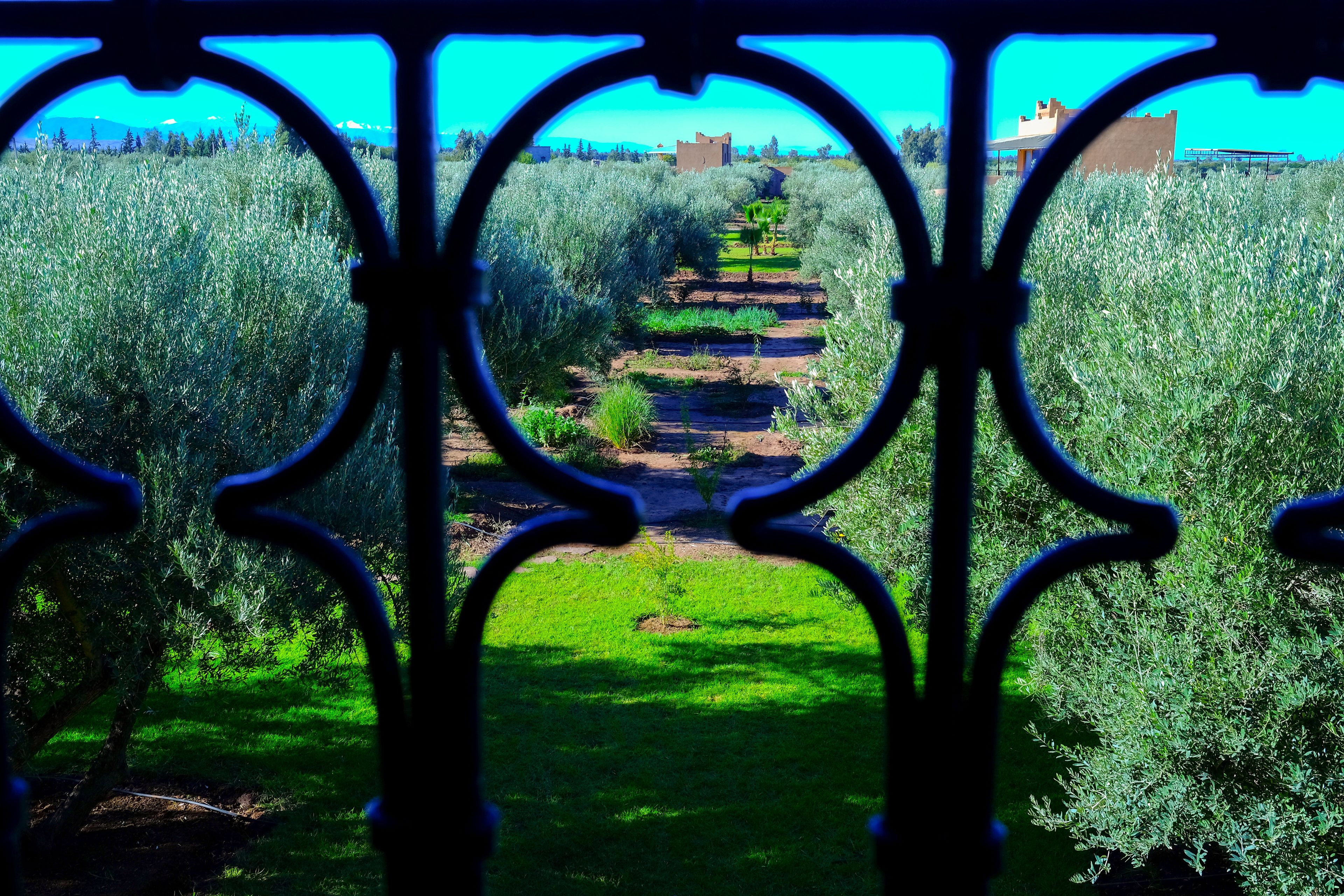 Ferme Sidi Safou