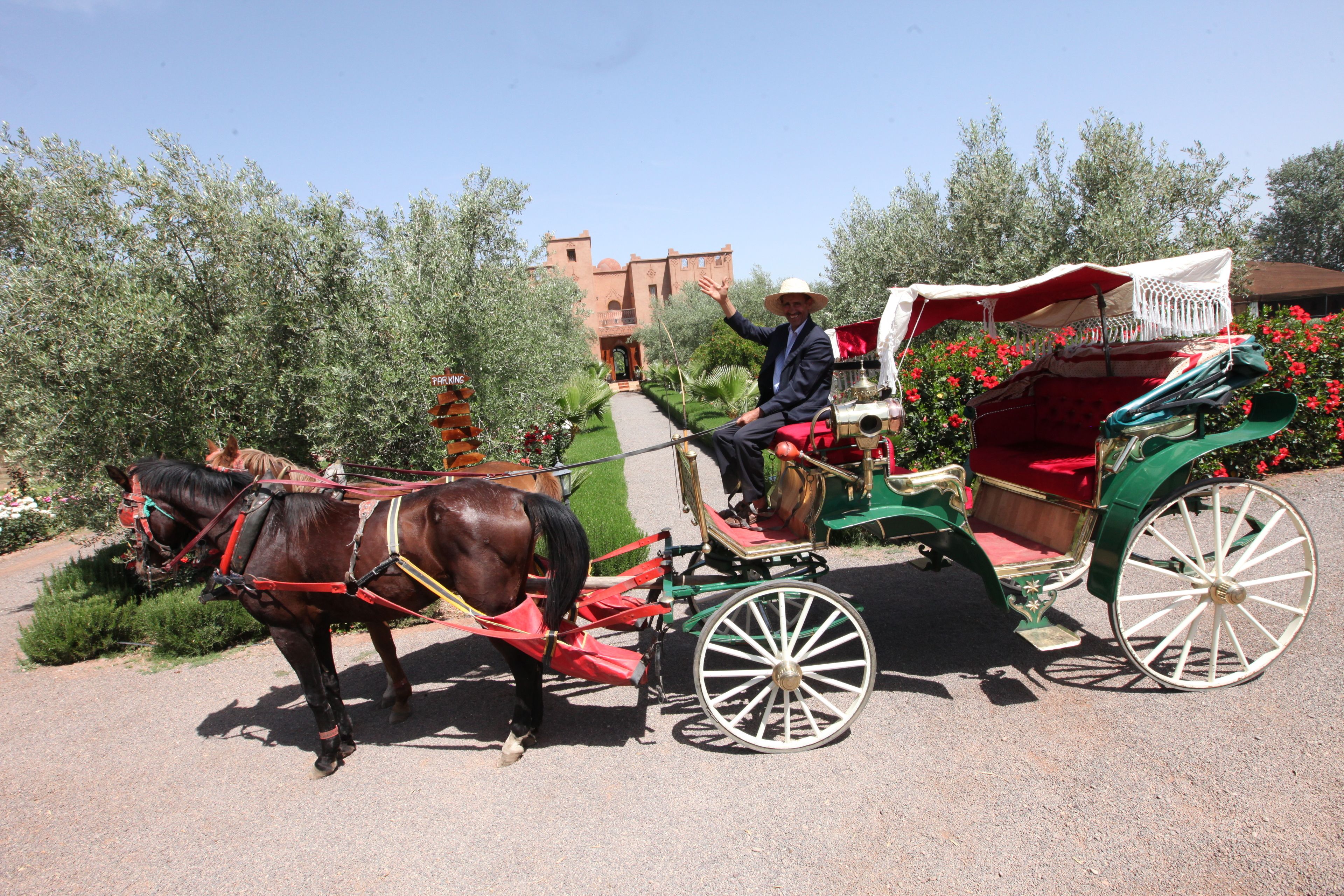 Ferme Sidi Safou