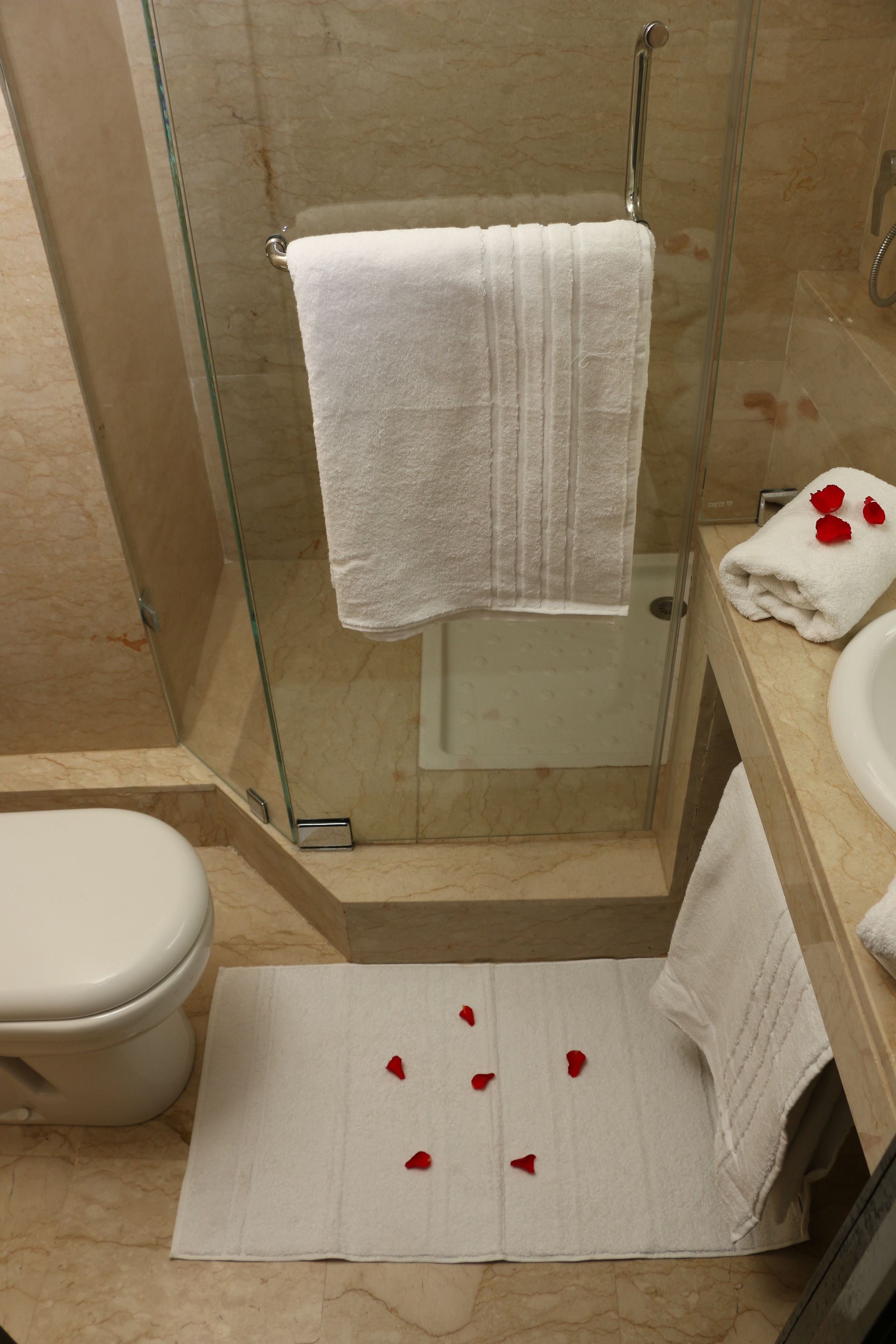Hotel Racine