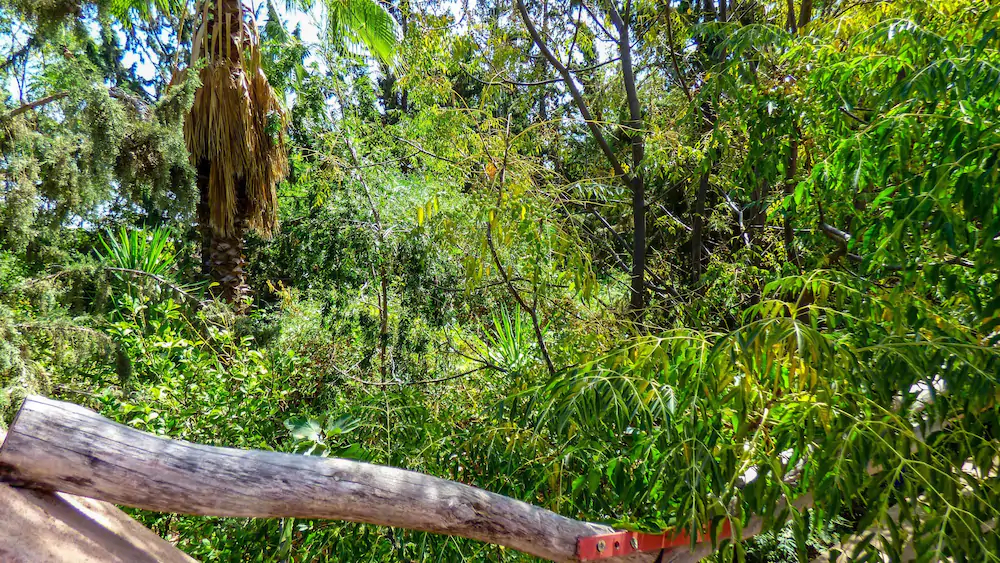 Jardin Tougana Campement & Lodge