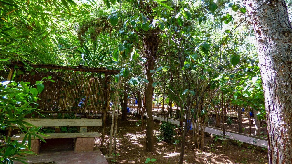 Jardin Tougana Campement & Lodge