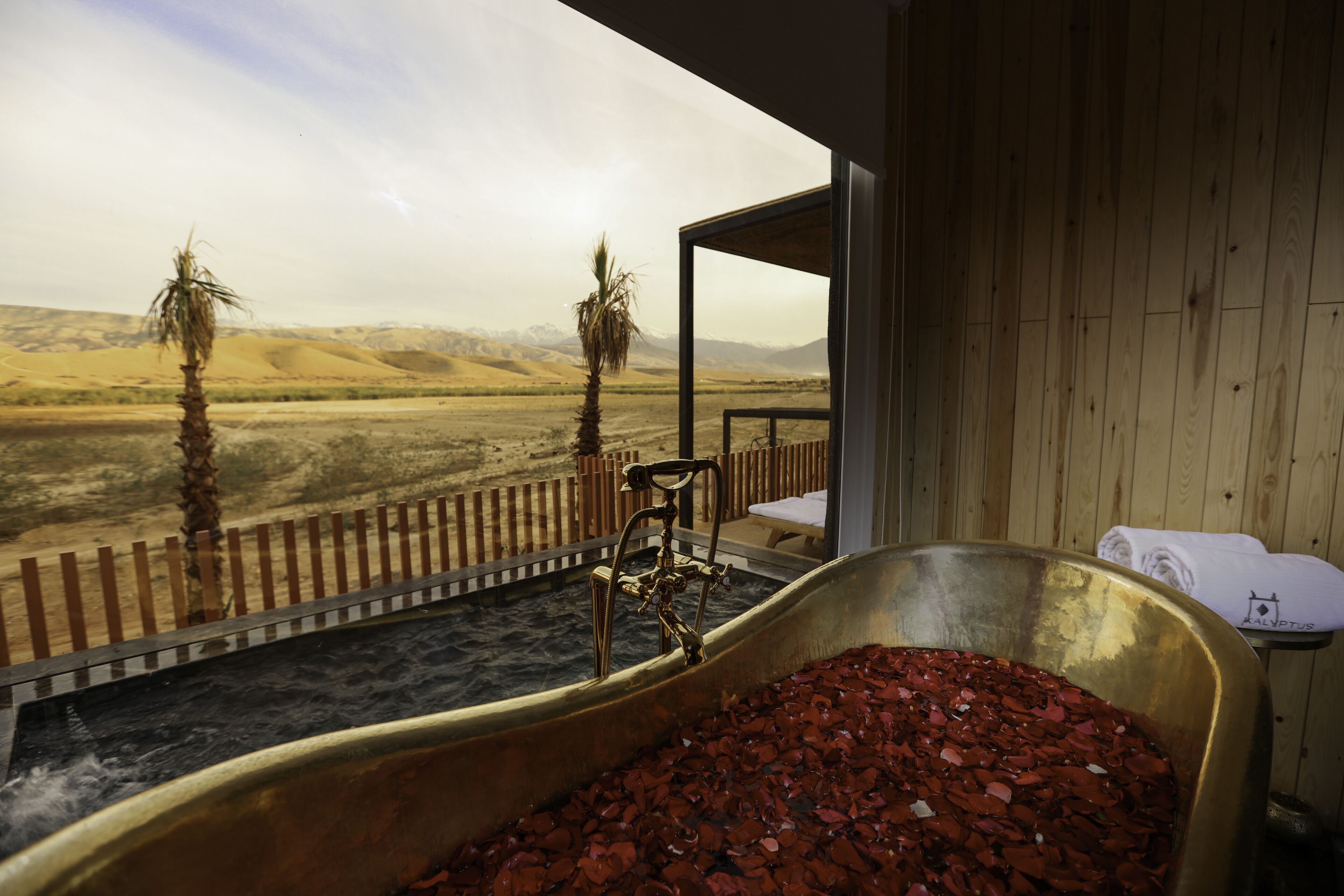 Kalyptus Luxury Camp
