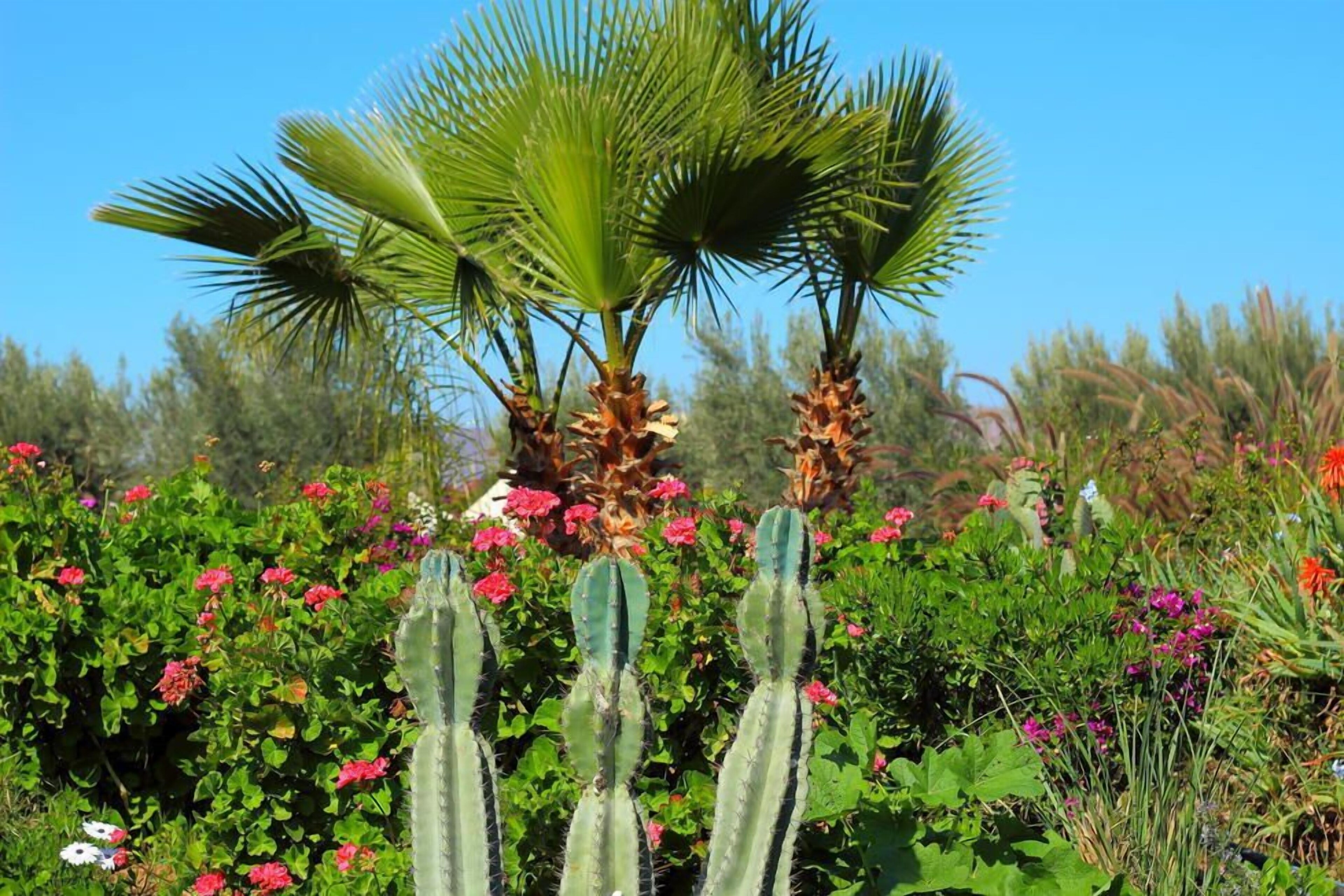 Le Relais de Marrakech