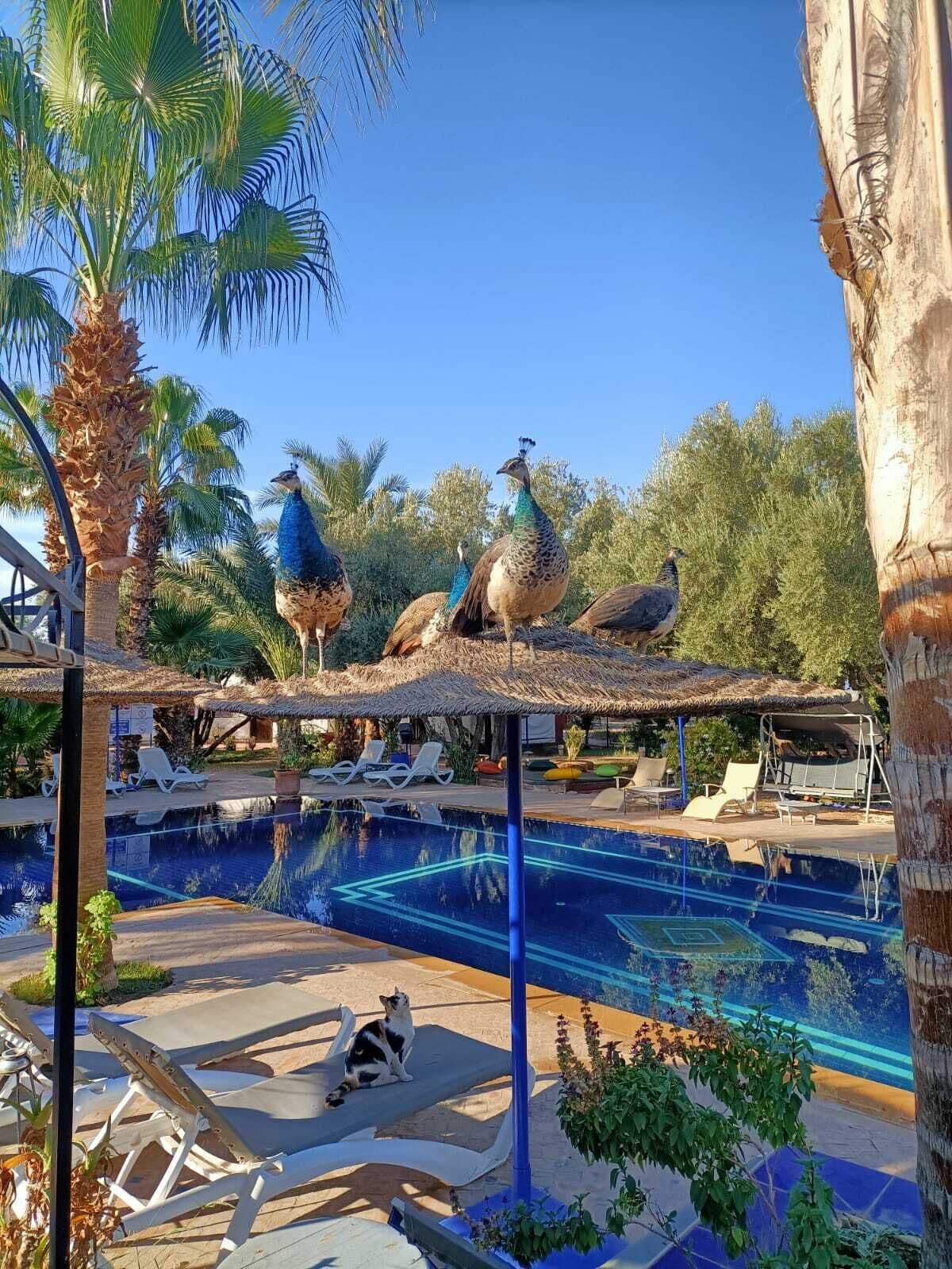 Le Relais de Marrakech