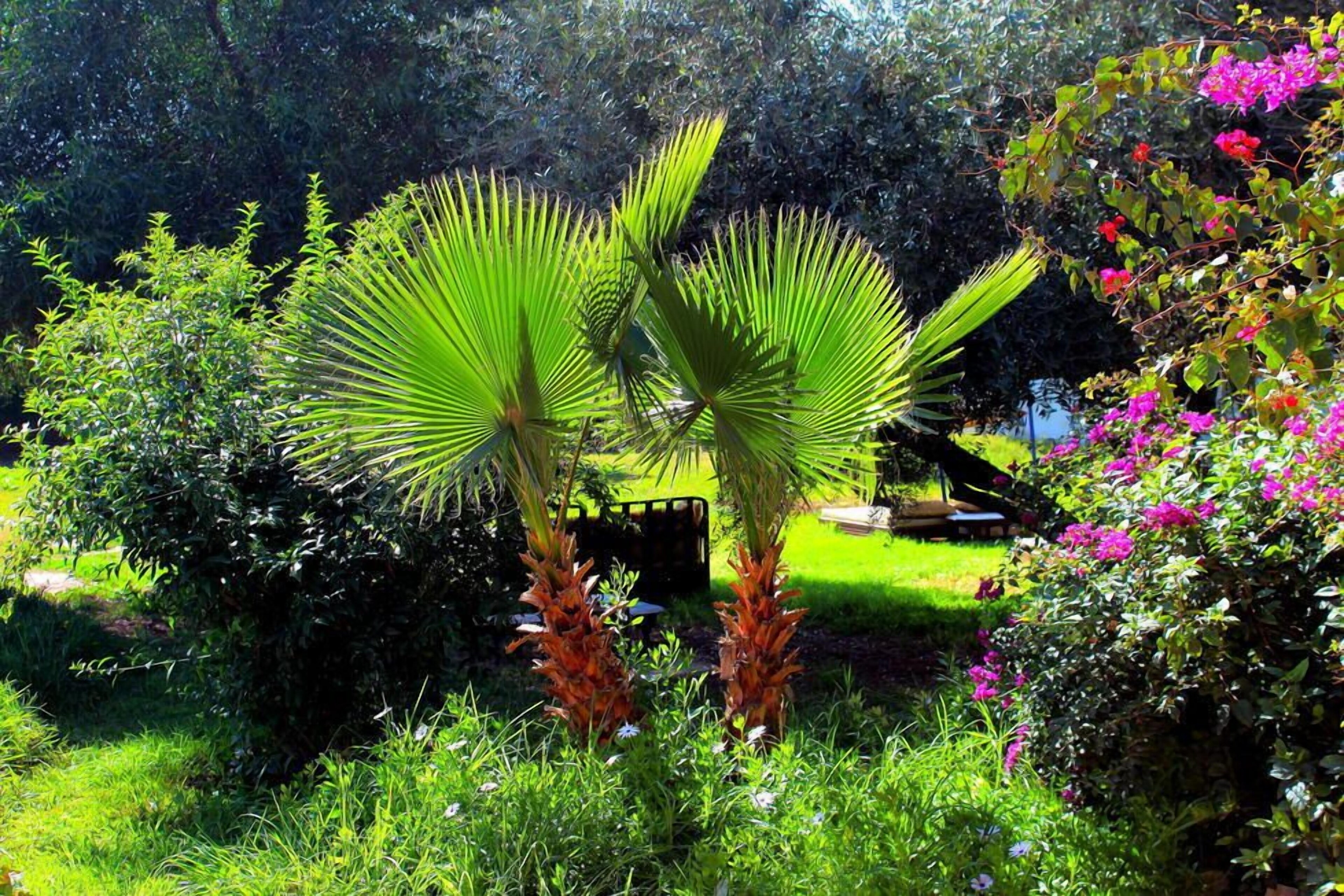 Le Relais de Marrakech