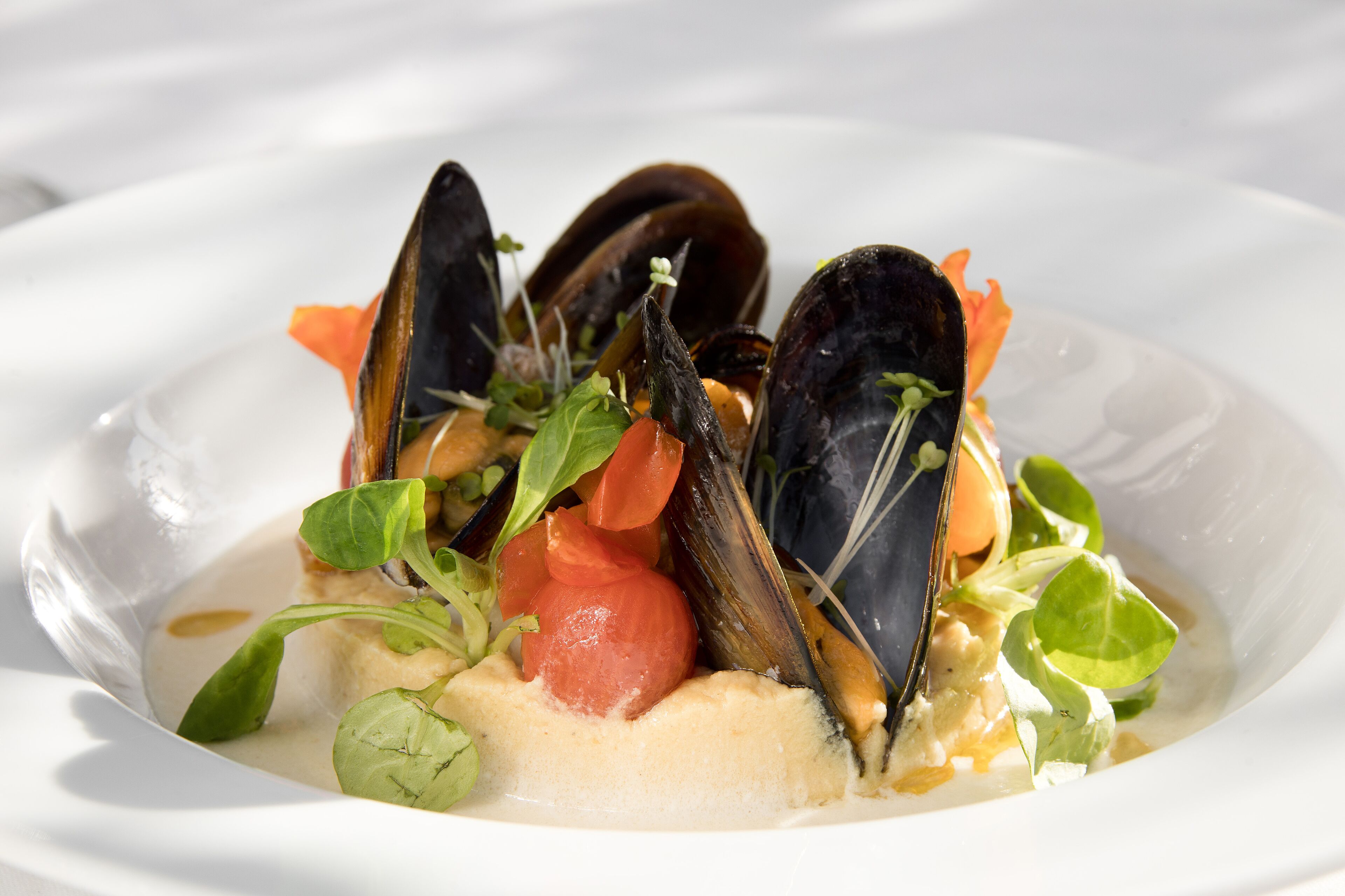 Les Jardins de la Médina