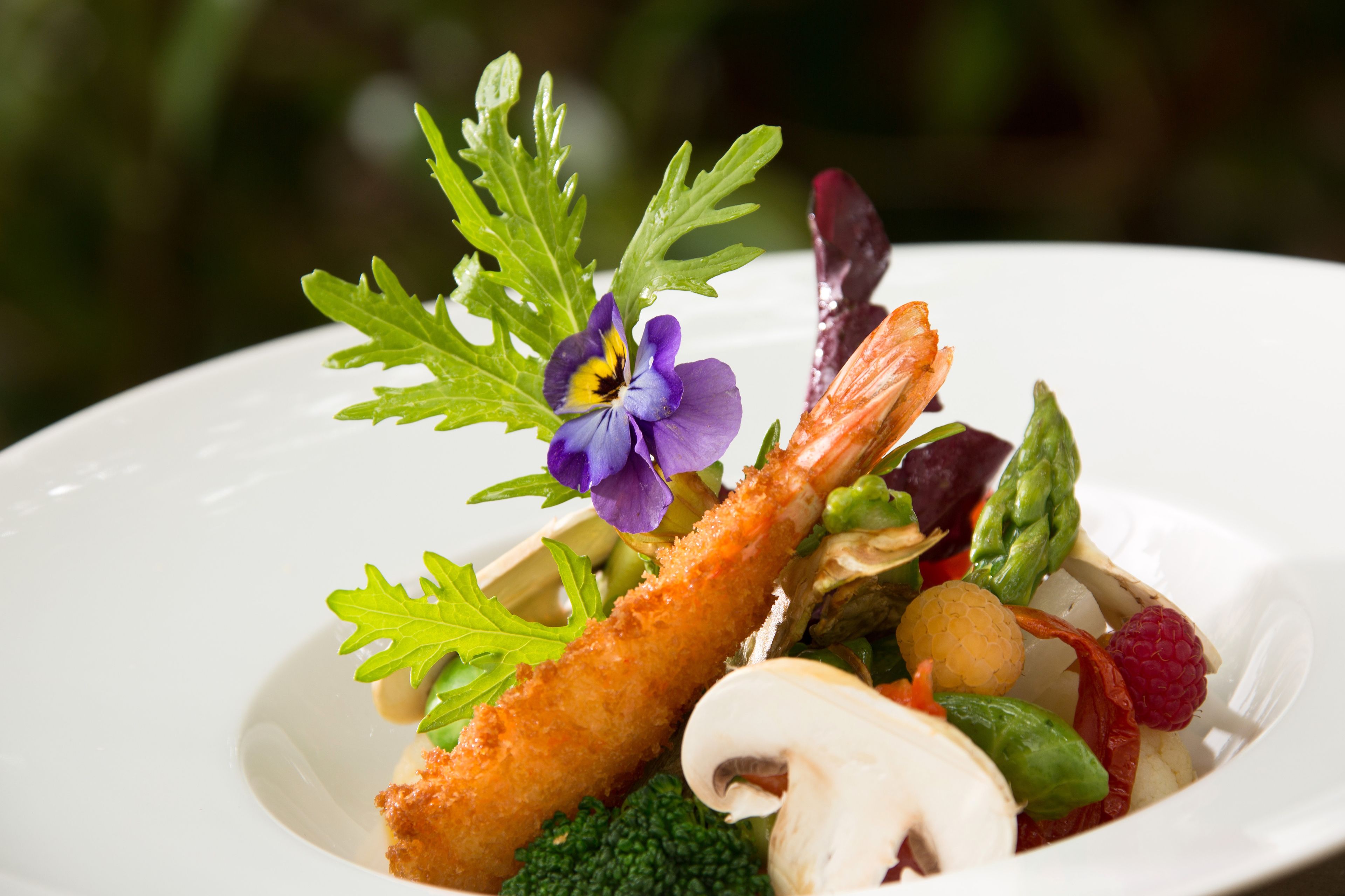 Les Jardins de la Médina