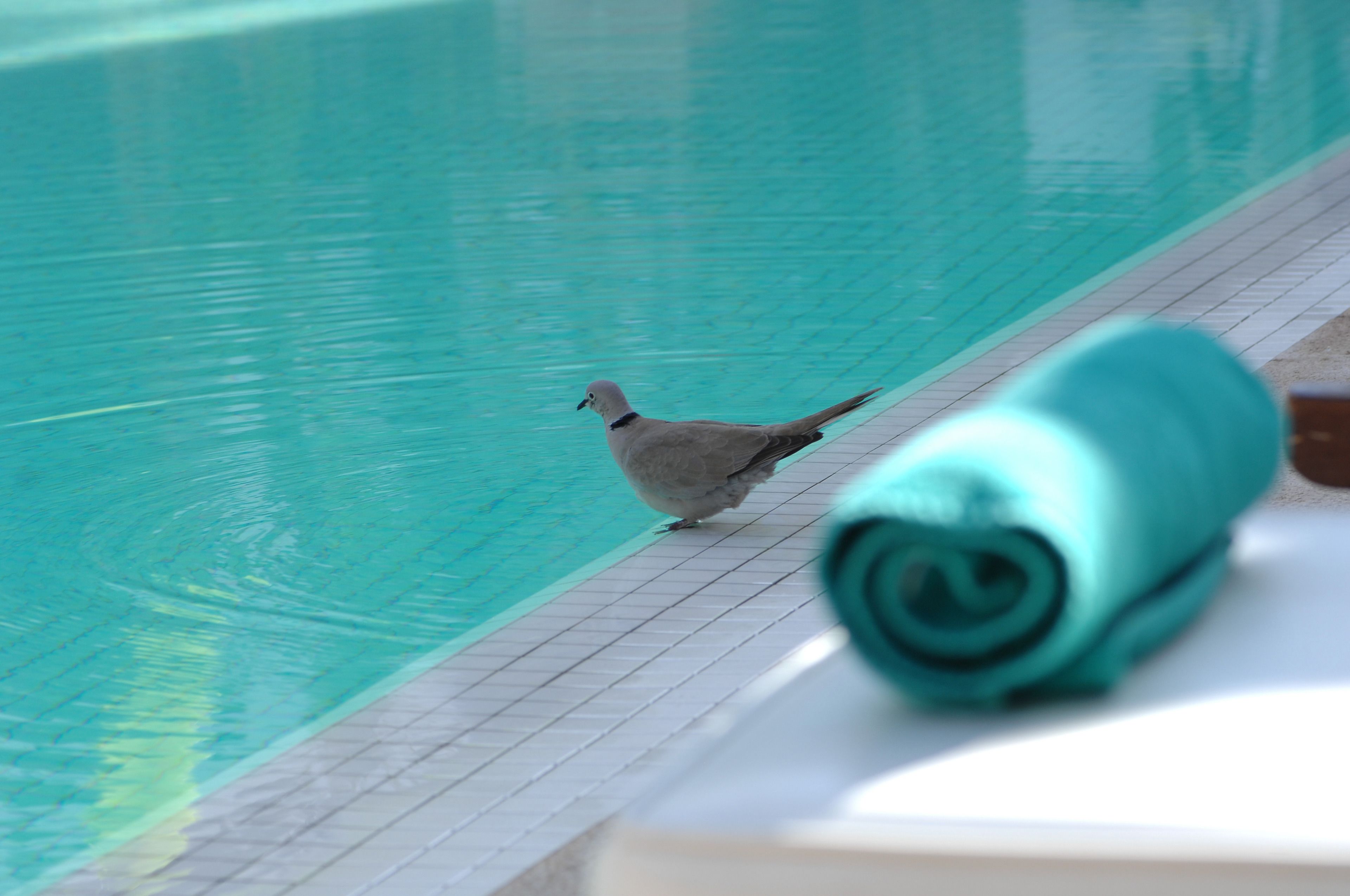 Les Jardins de la Médina