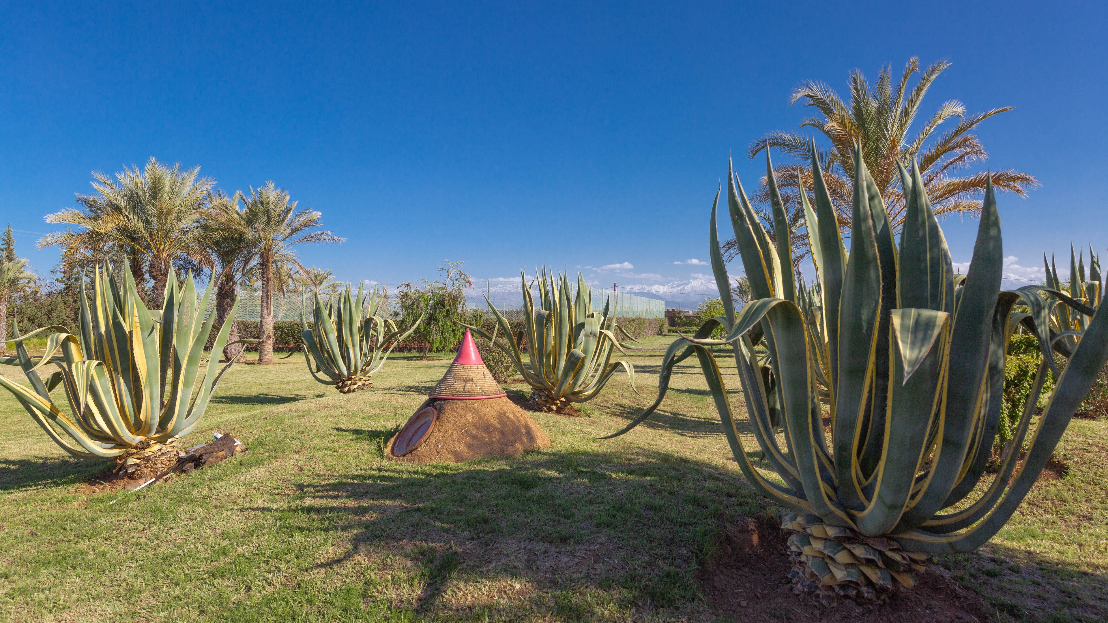 L´Oliveraie de L´Atlas