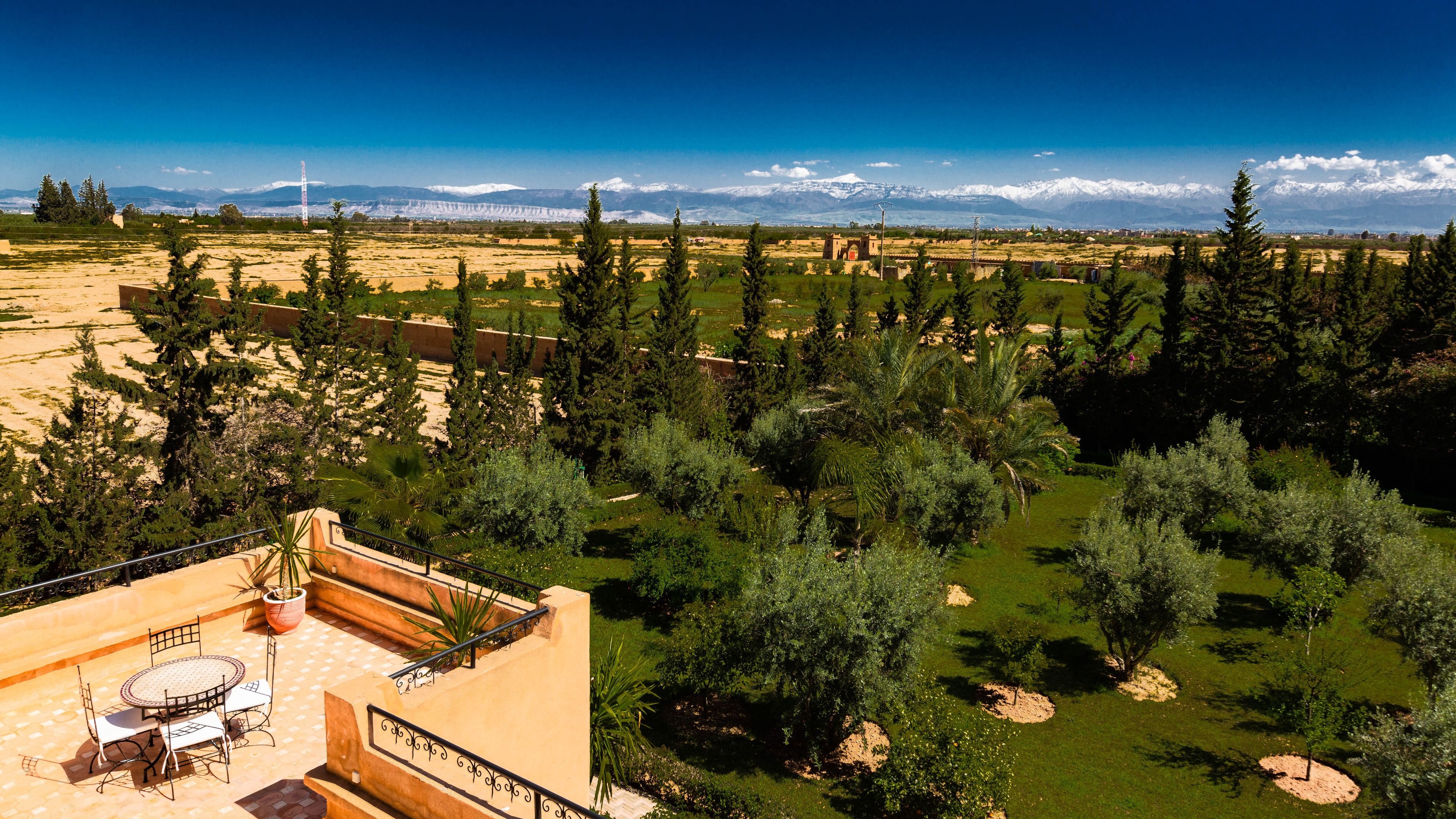 L´Oliveraie de L´Atlas