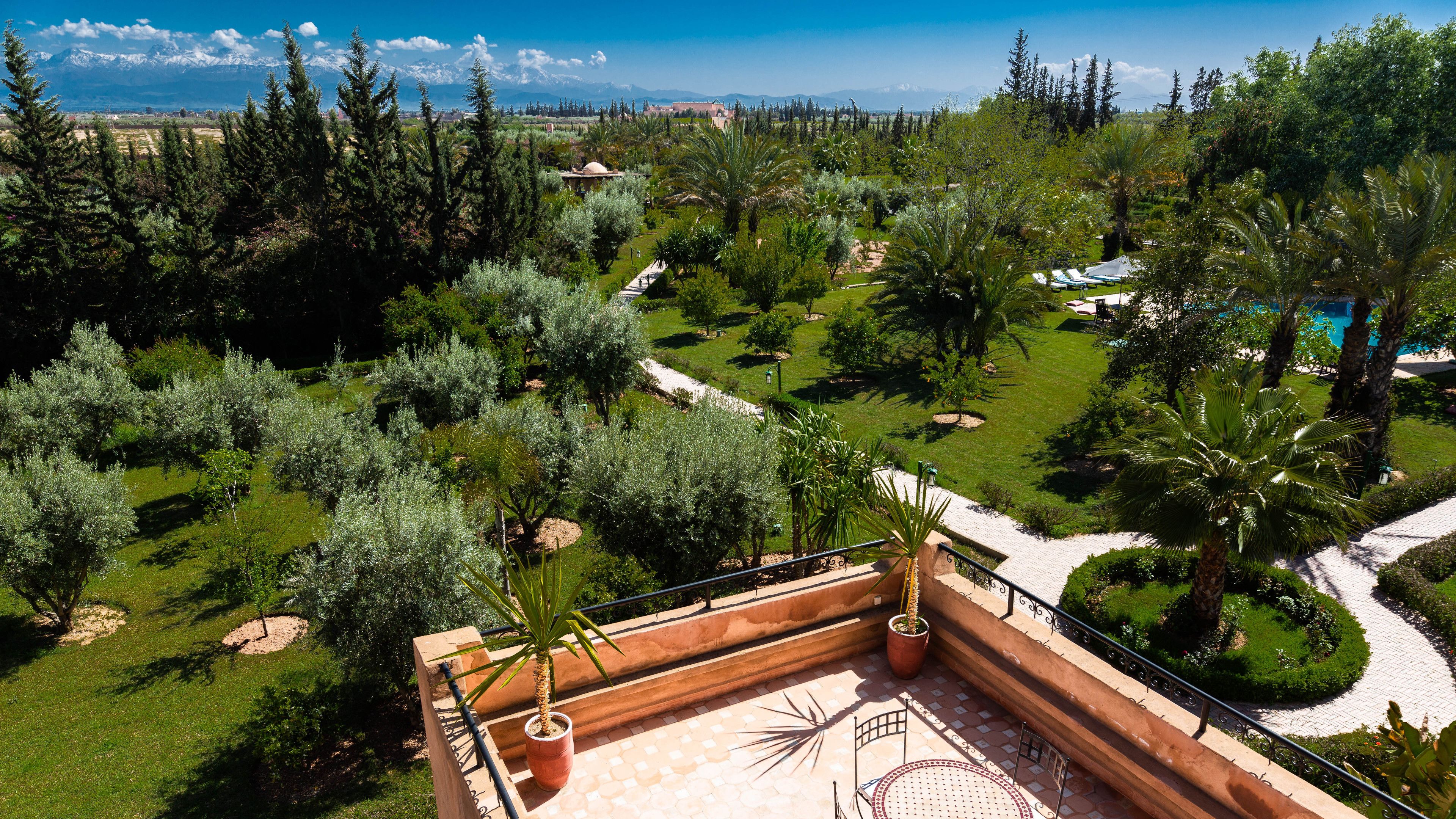 L´Oliveraie de L´Atlas