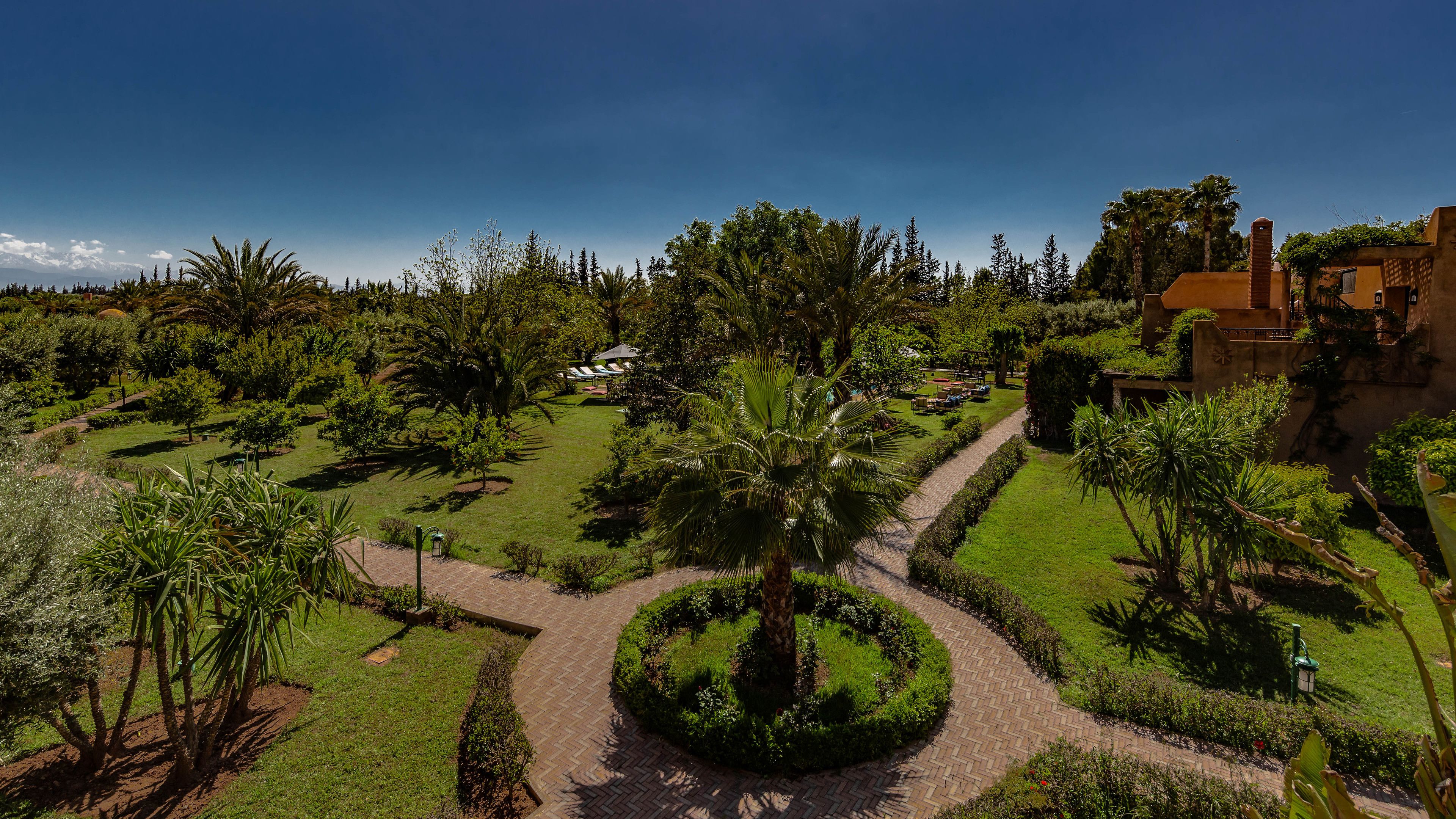 L´Oliveraie de L´Atlas