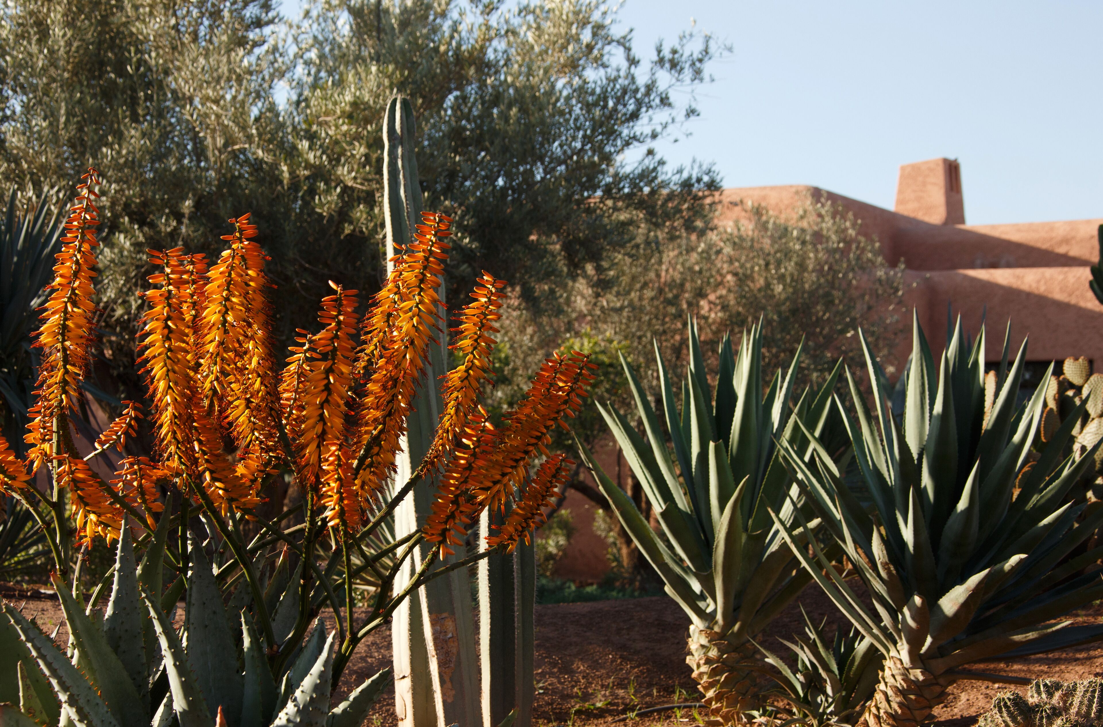 Oasis Lodges
