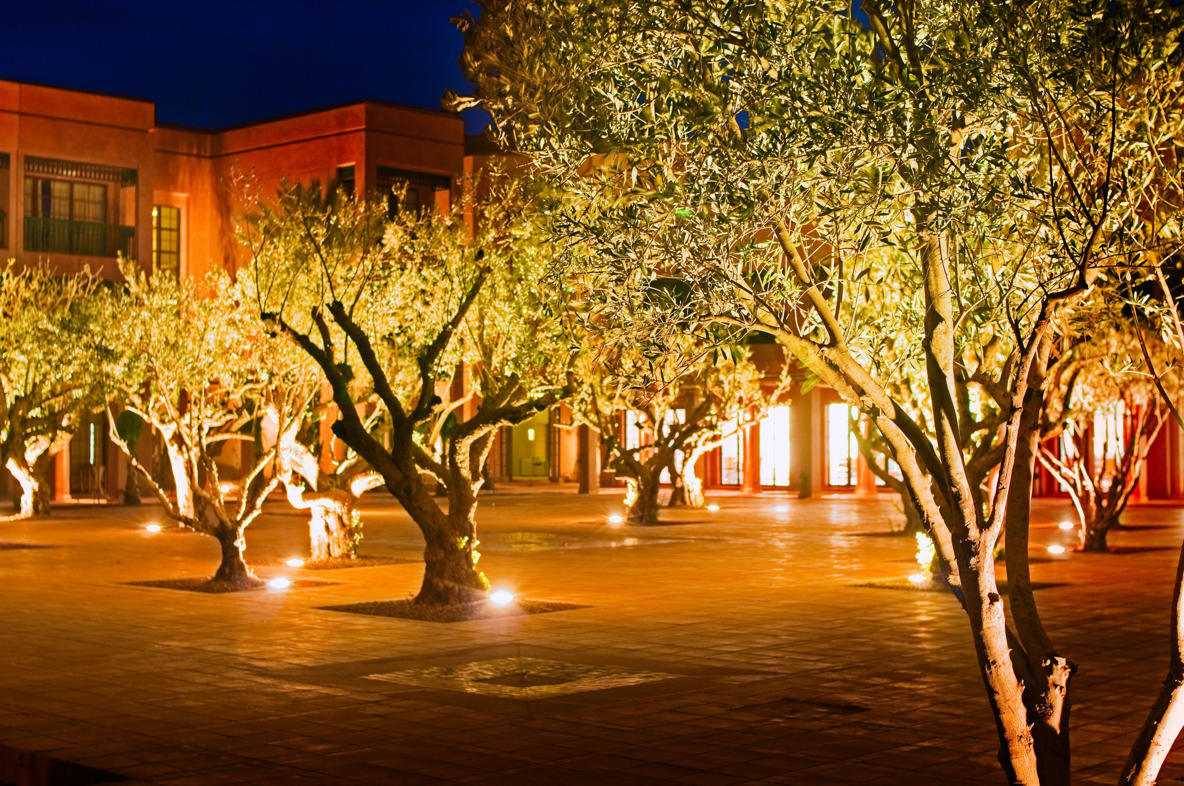 Pickalbatos Hôtel du Golf Palmeraie