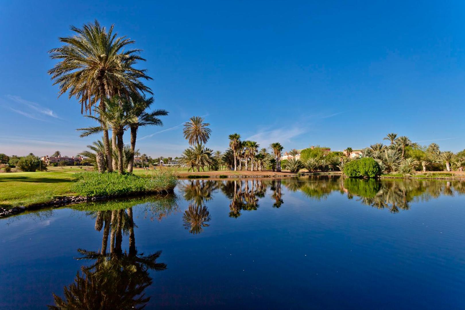 Pickalbatos Hôtel du Golf Palmeraie