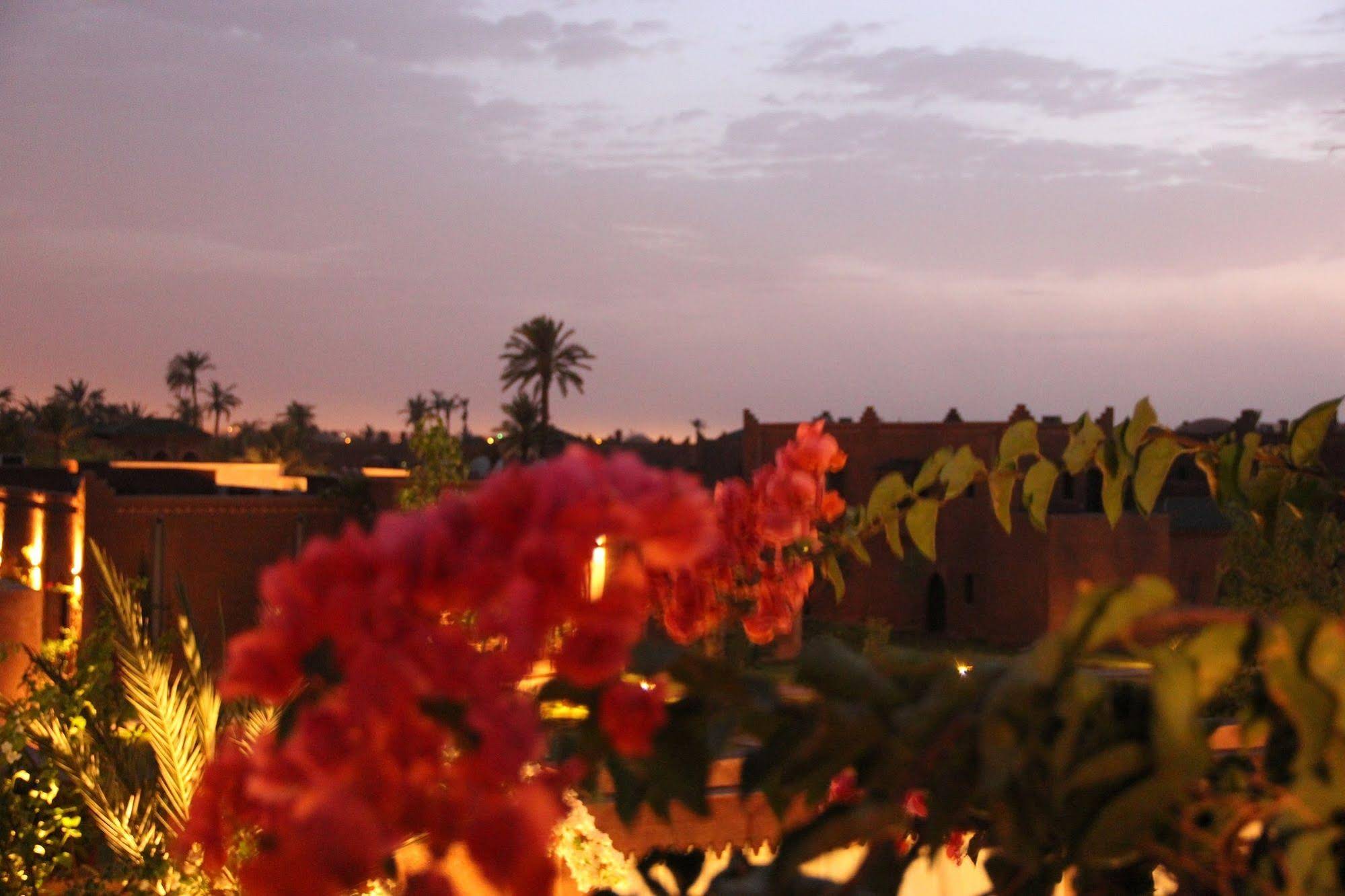 Dar Lamia Villas & Boutique Hotel