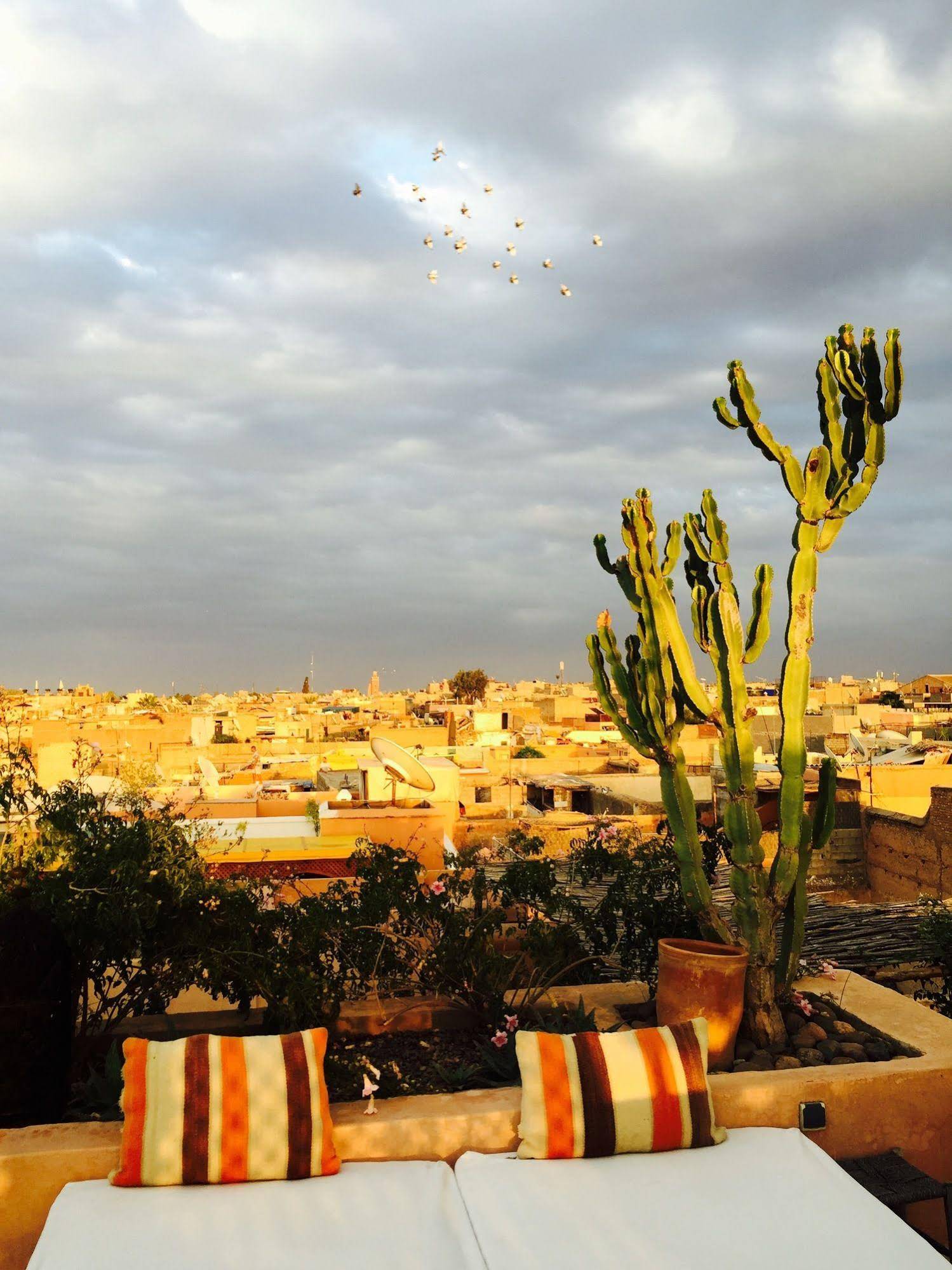 Riad 144