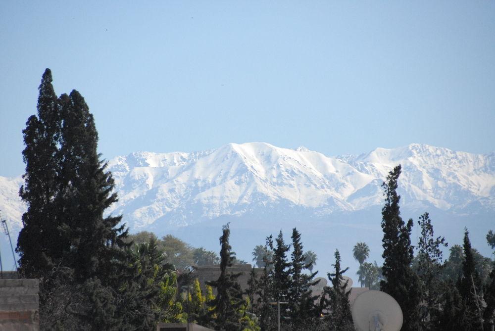 Riad Ajmal