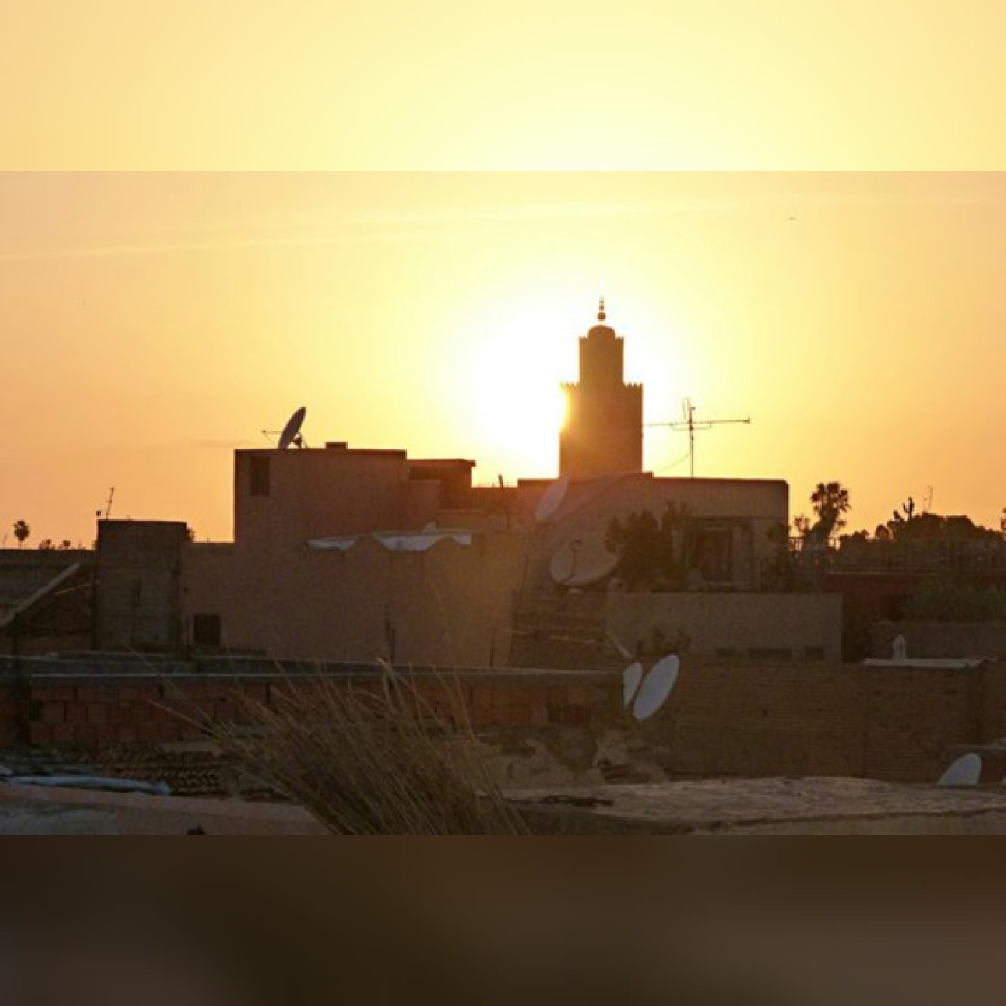 Riad Al Mansoura