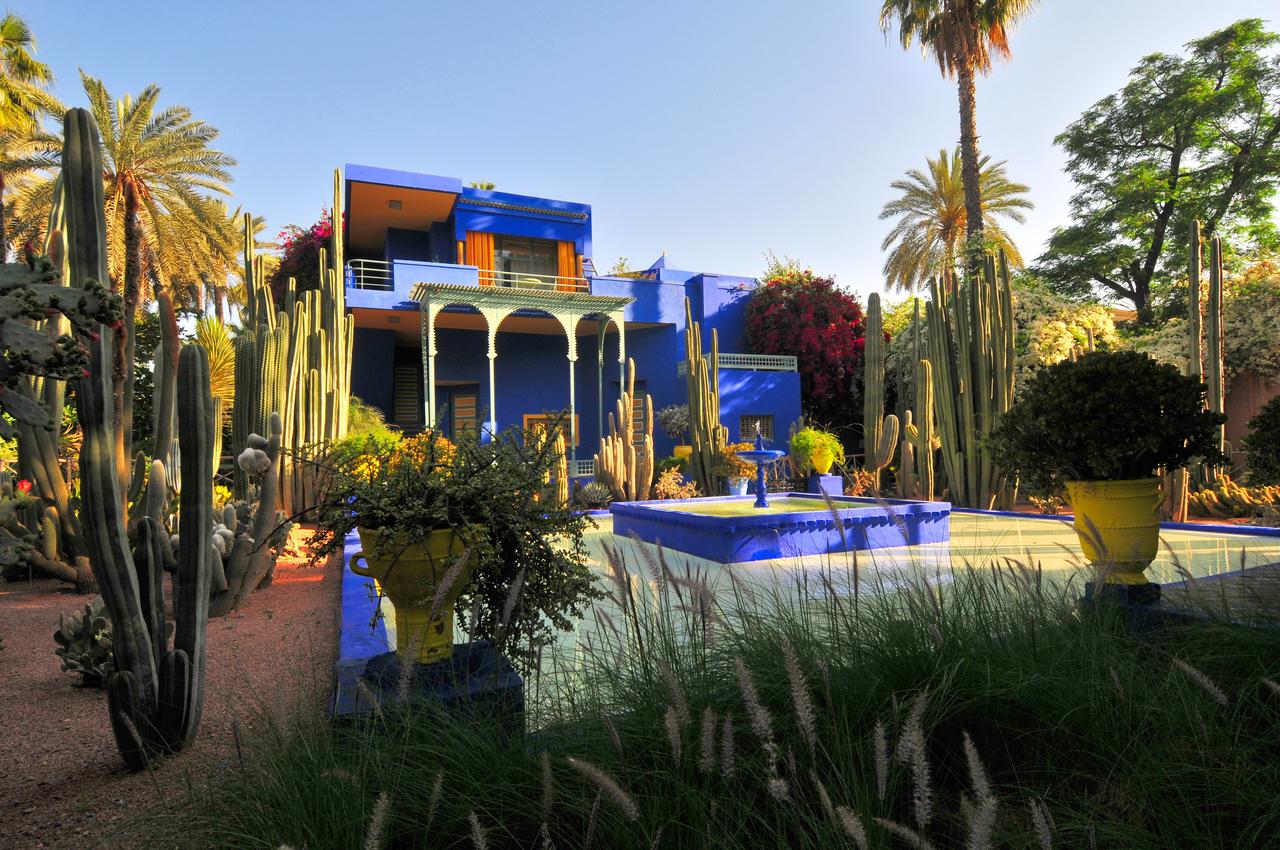 Riad Ayni