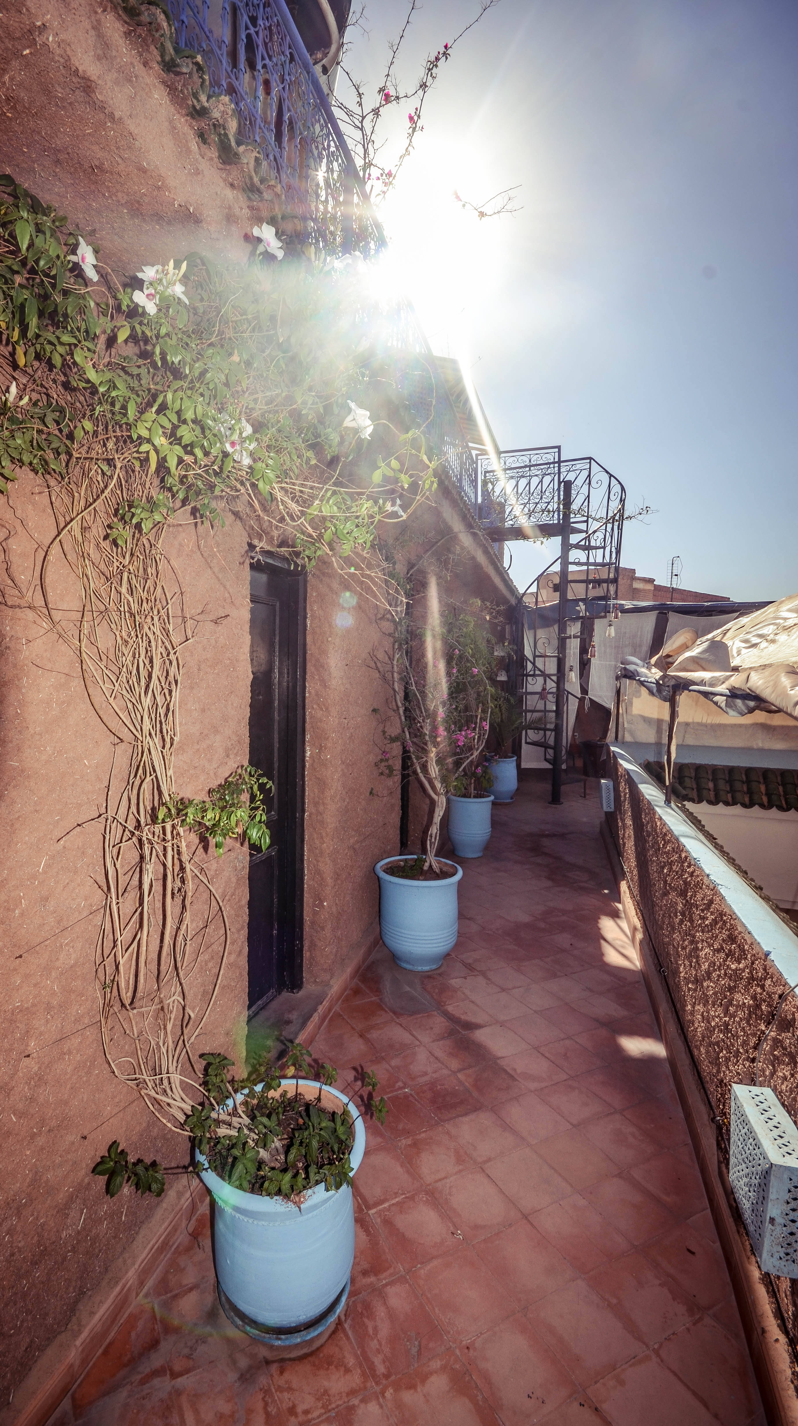 Riad Azalia