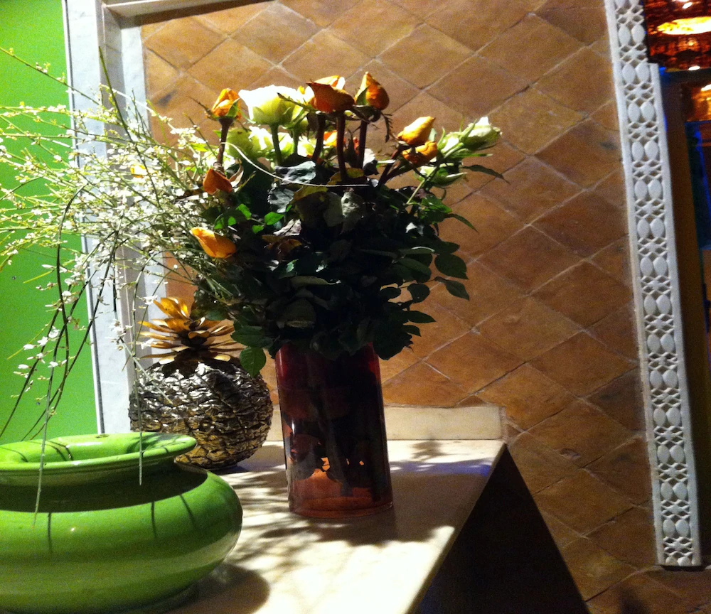 Riad CharCam - Adults Only