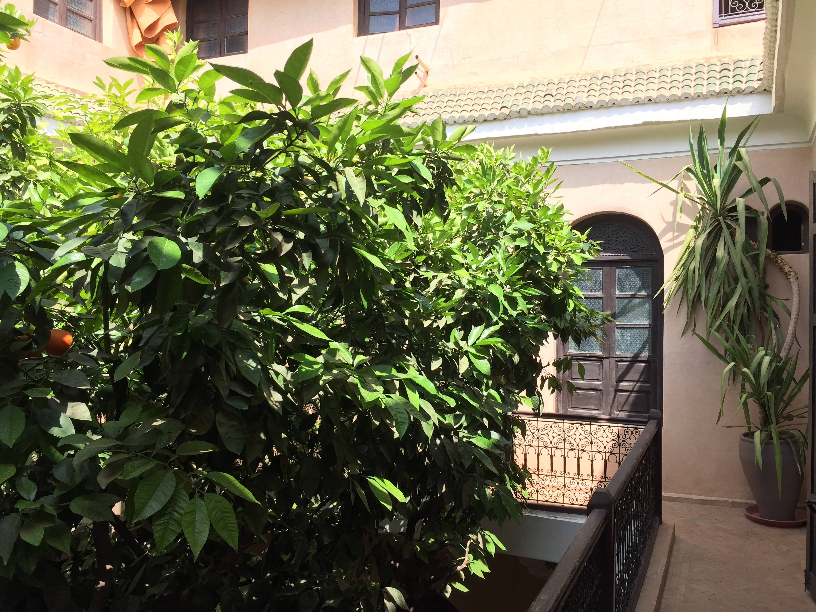 Riad Dama