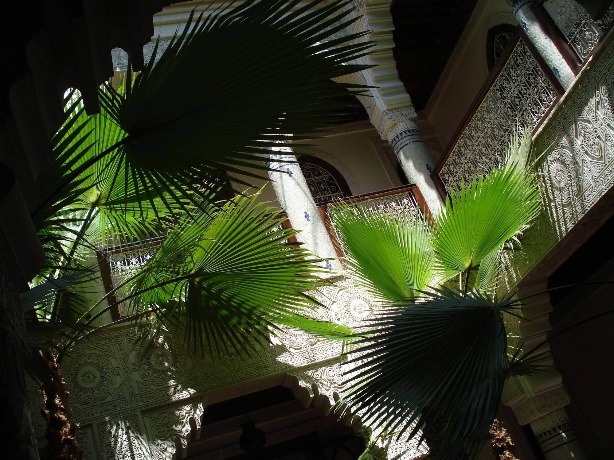 Riad Dar Al Kounouz