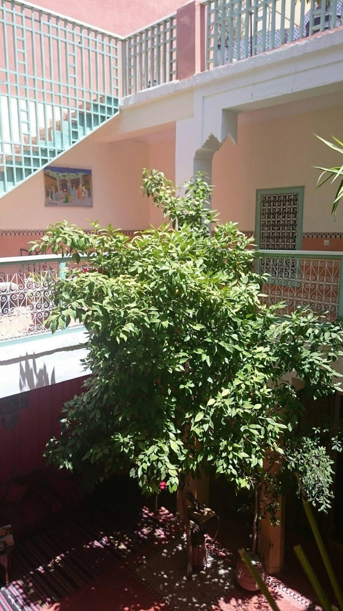 Riad Dar Nael