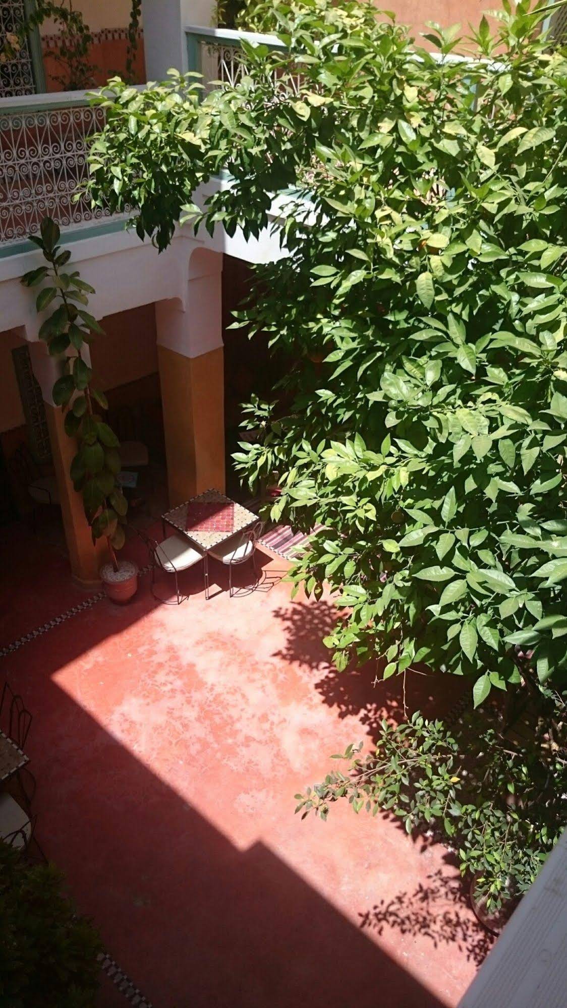Riad Dar Nael