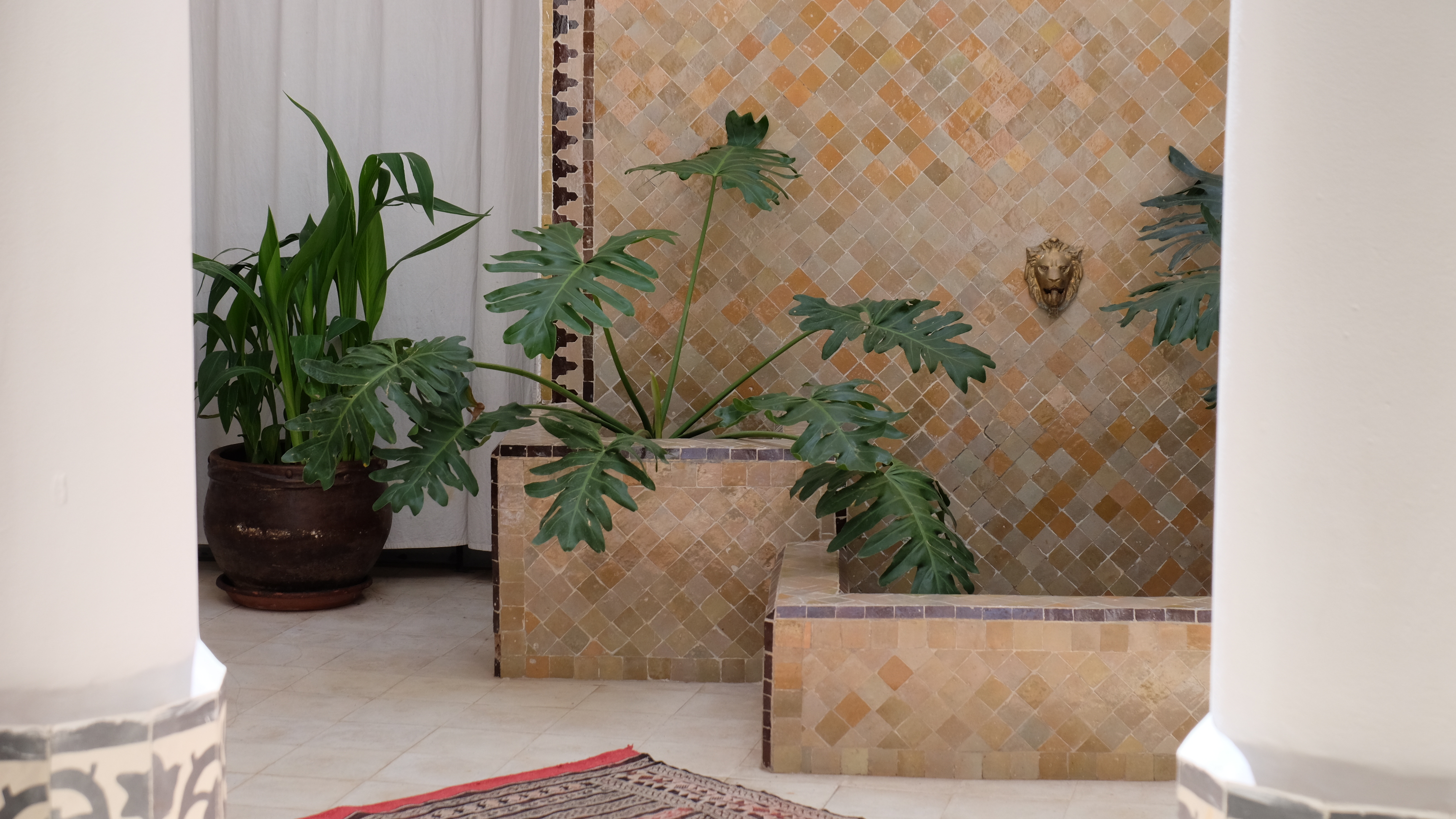 Riad Dar Saad