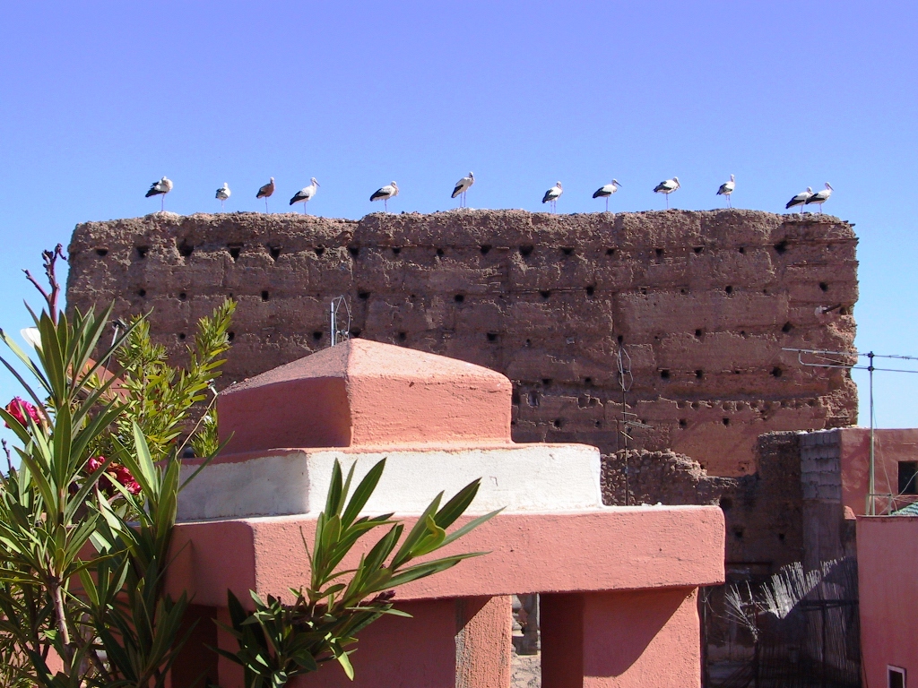 Riad el Farah