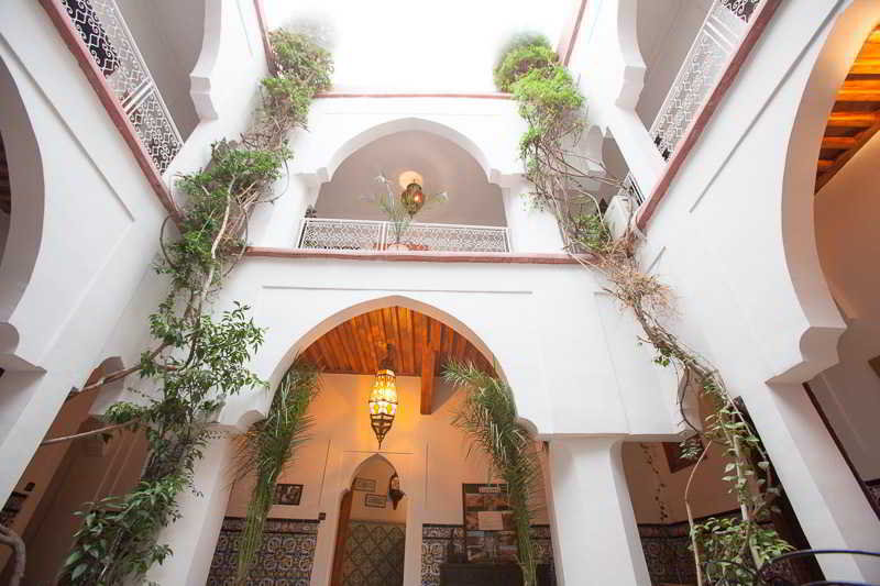 Riad Elsagaya