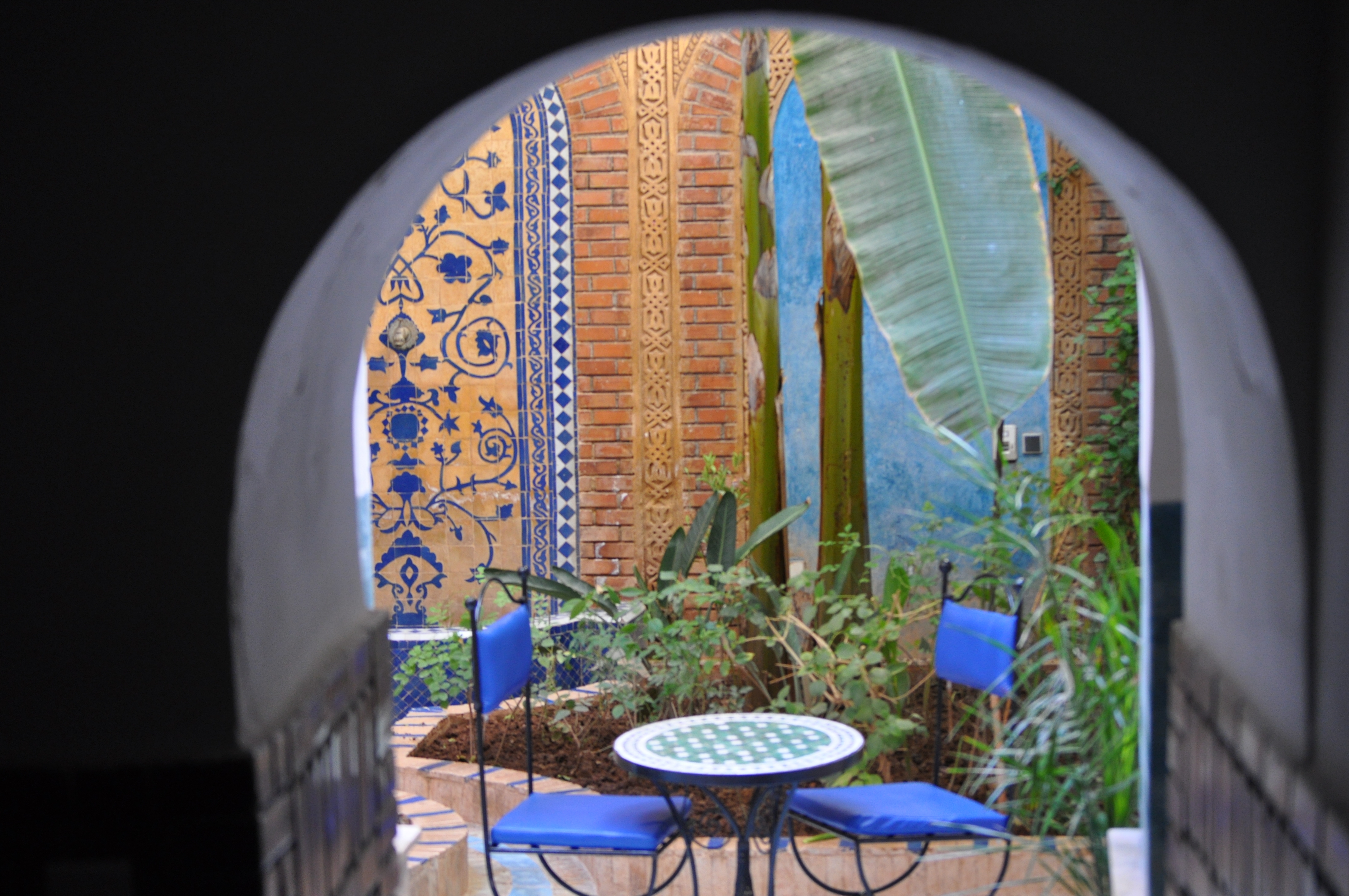 Riad Habib
