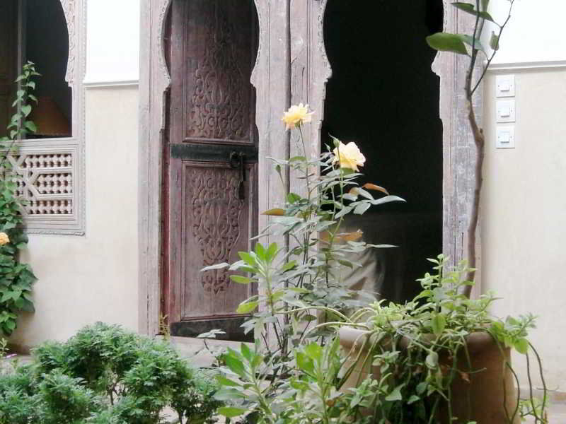 Riad Hadika Maria