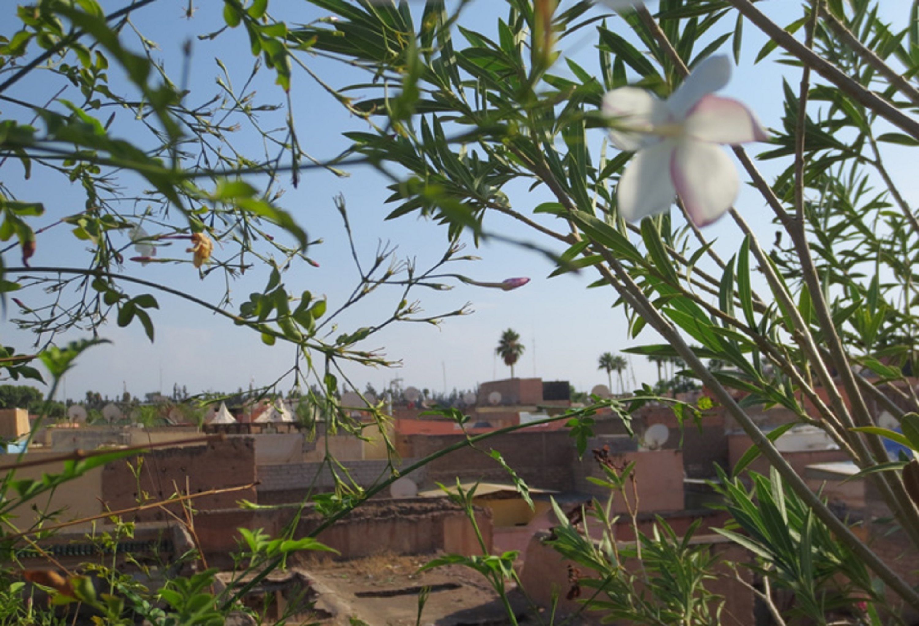 Riad Hikaya