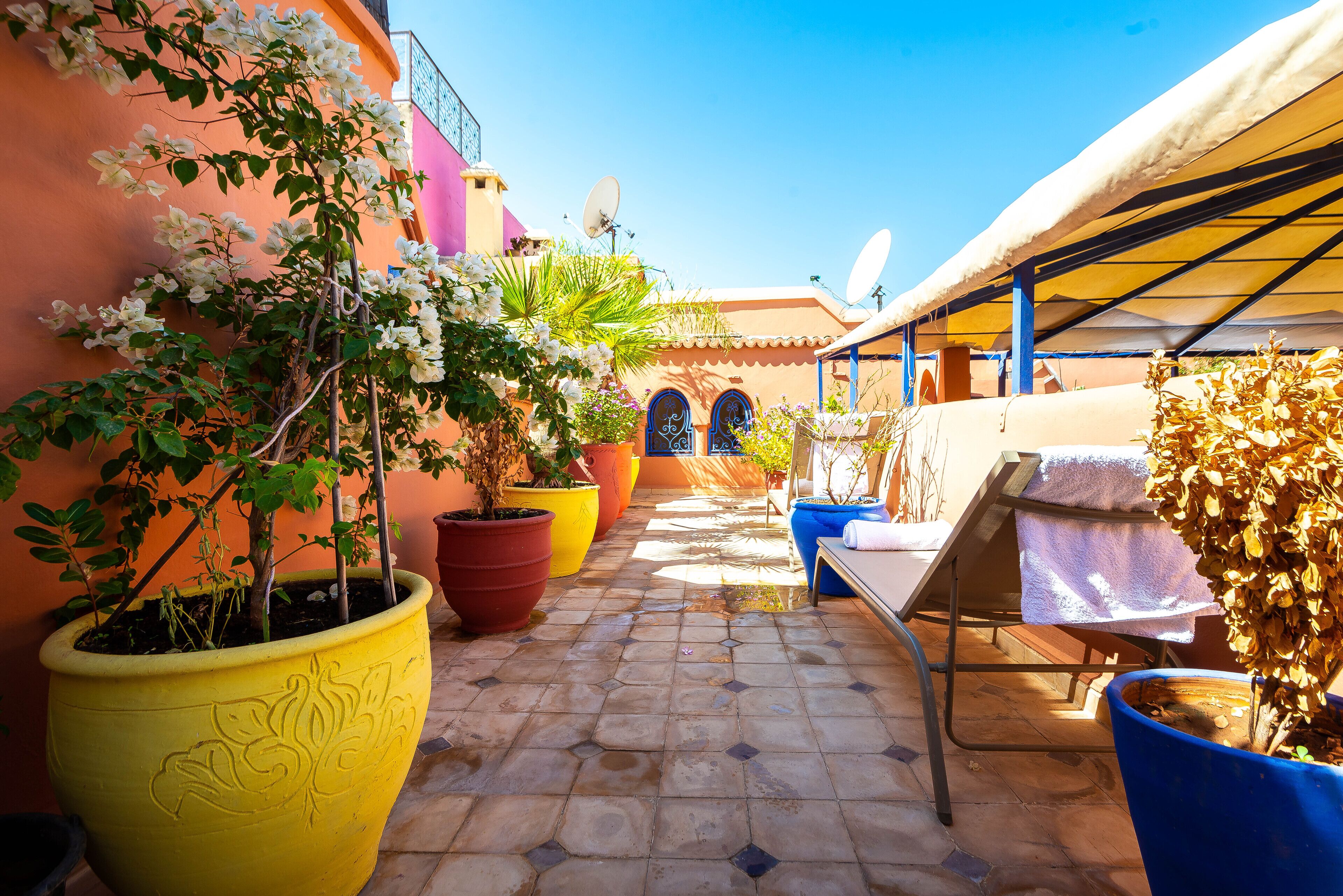 Riad Kamal