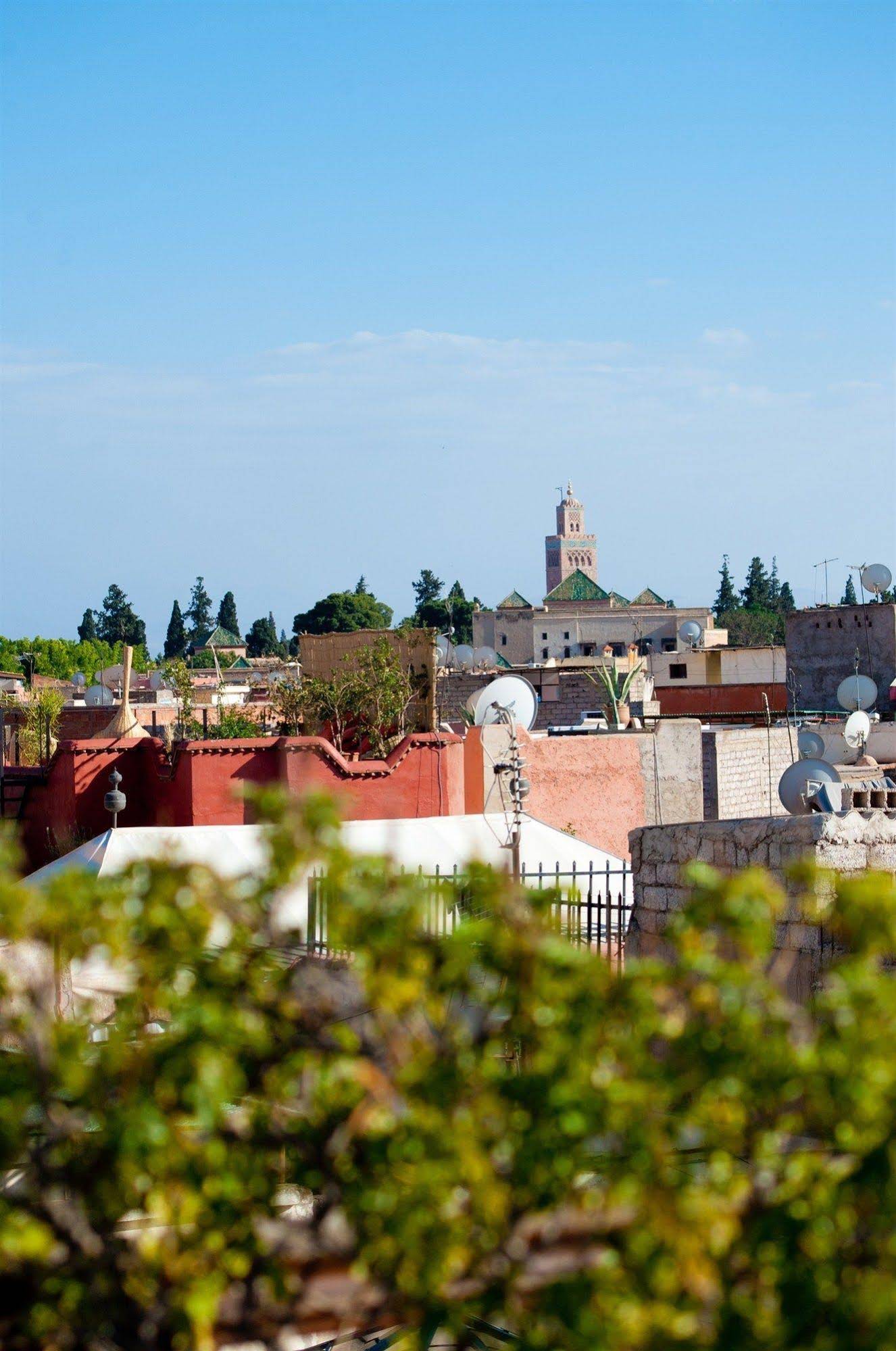 Riad Zhor