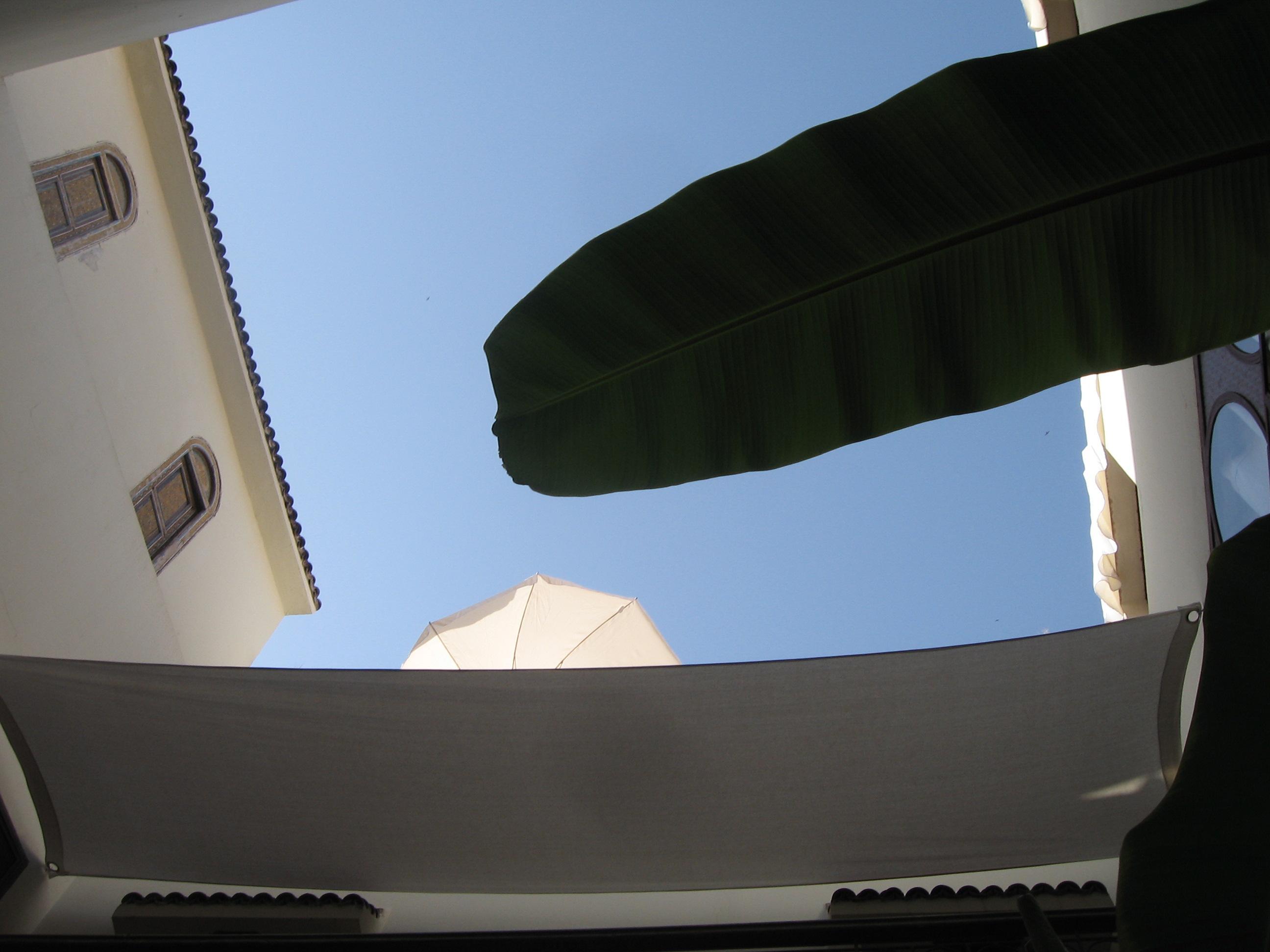 Riad La Cigale